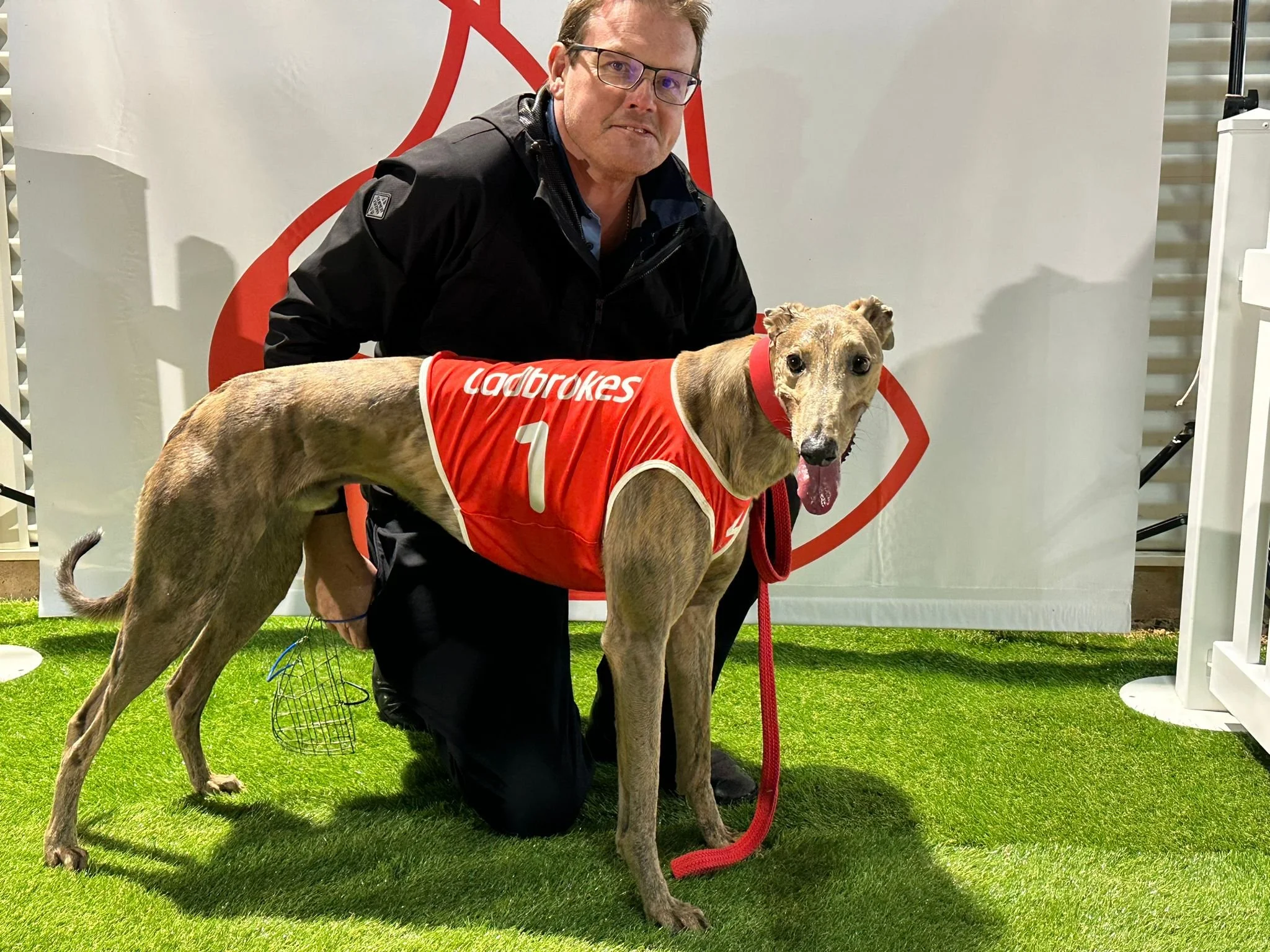 Chappelow laments box draw as Brother Fox approaches