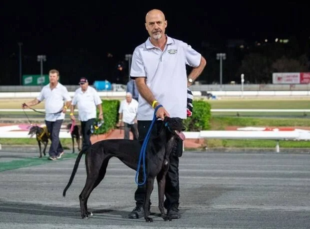 King Of Cool Set to Heat Up QGOLD Sprint: Saal Optimistic