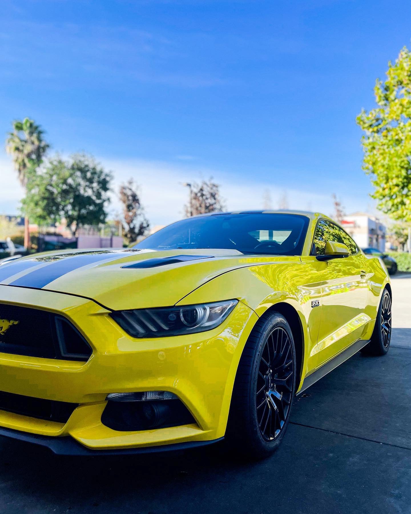 Premier Car Wash & Detail