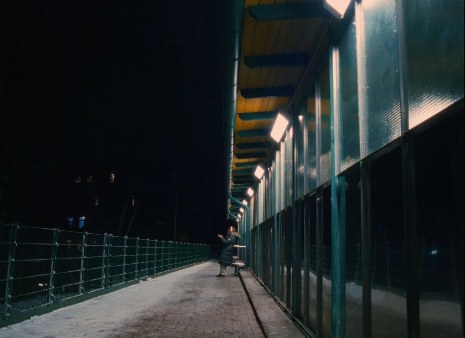 WhatsApp Image 2024-07-11 at 11.44.11 AM.jpeg