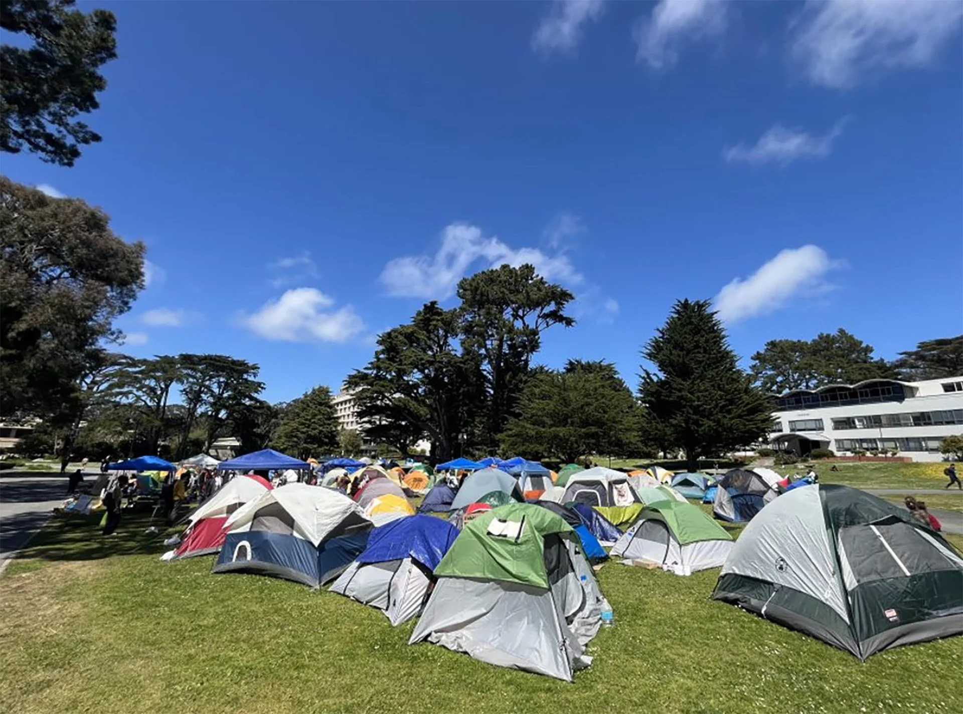 At San Francisco State, a Democratic Movement for Palestine