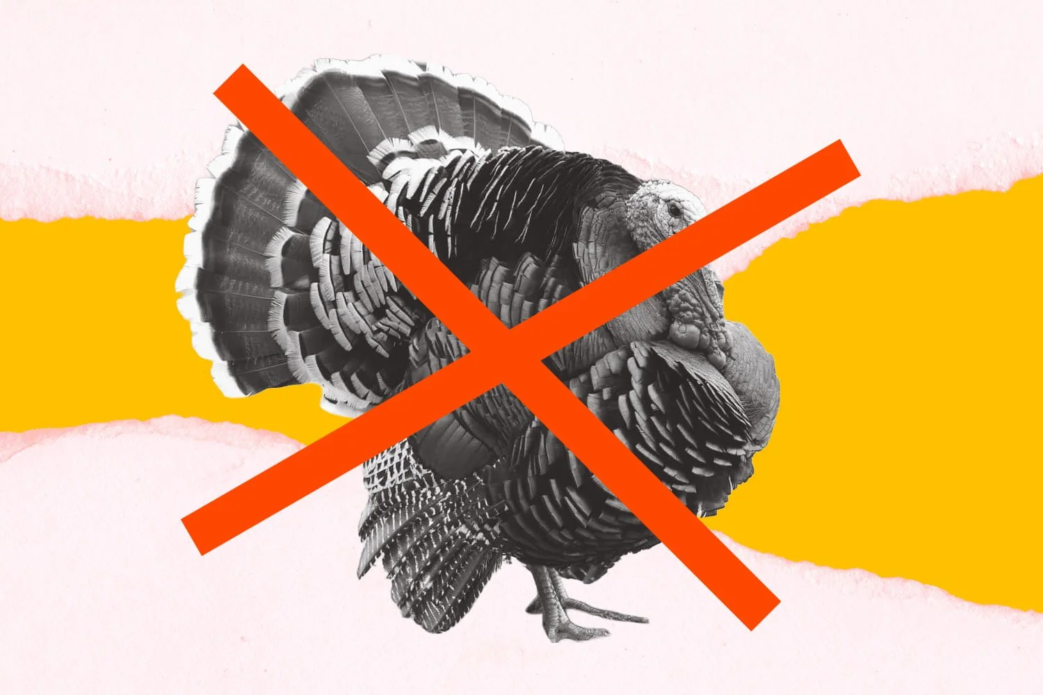 Cancel Thanksgiving? A Progressive Guide to Handling the Holidays