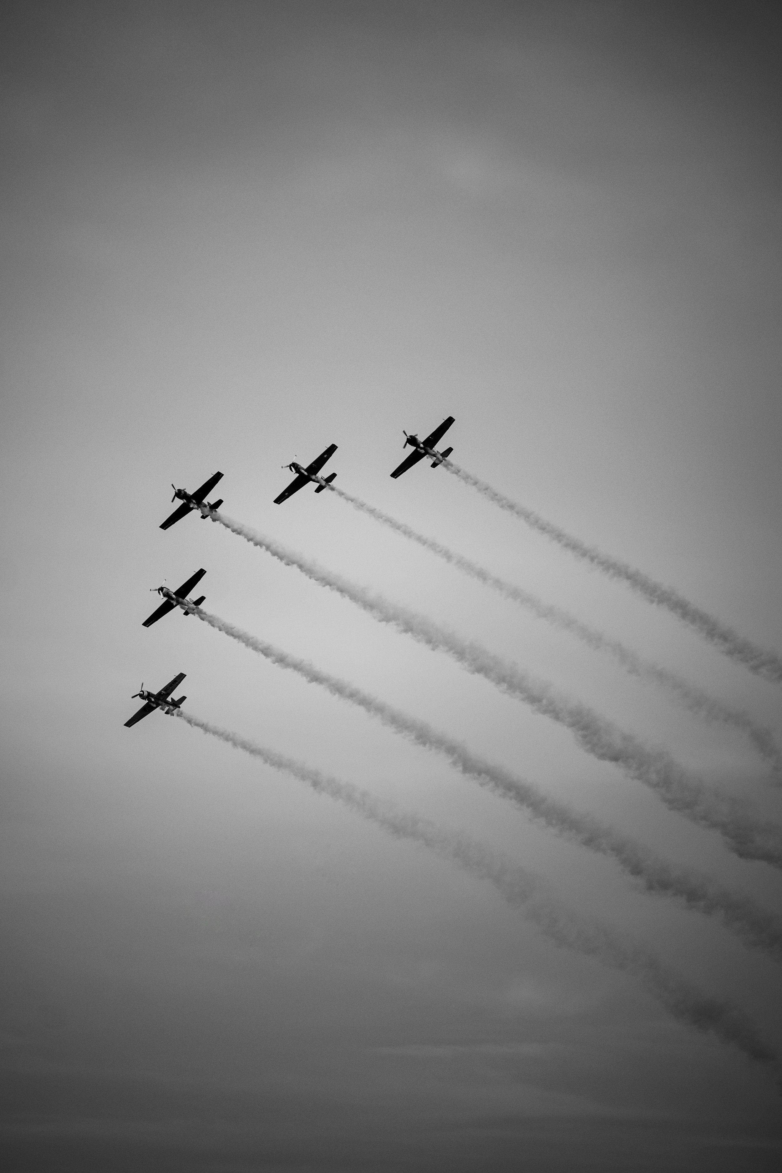DSC_7486.jpg