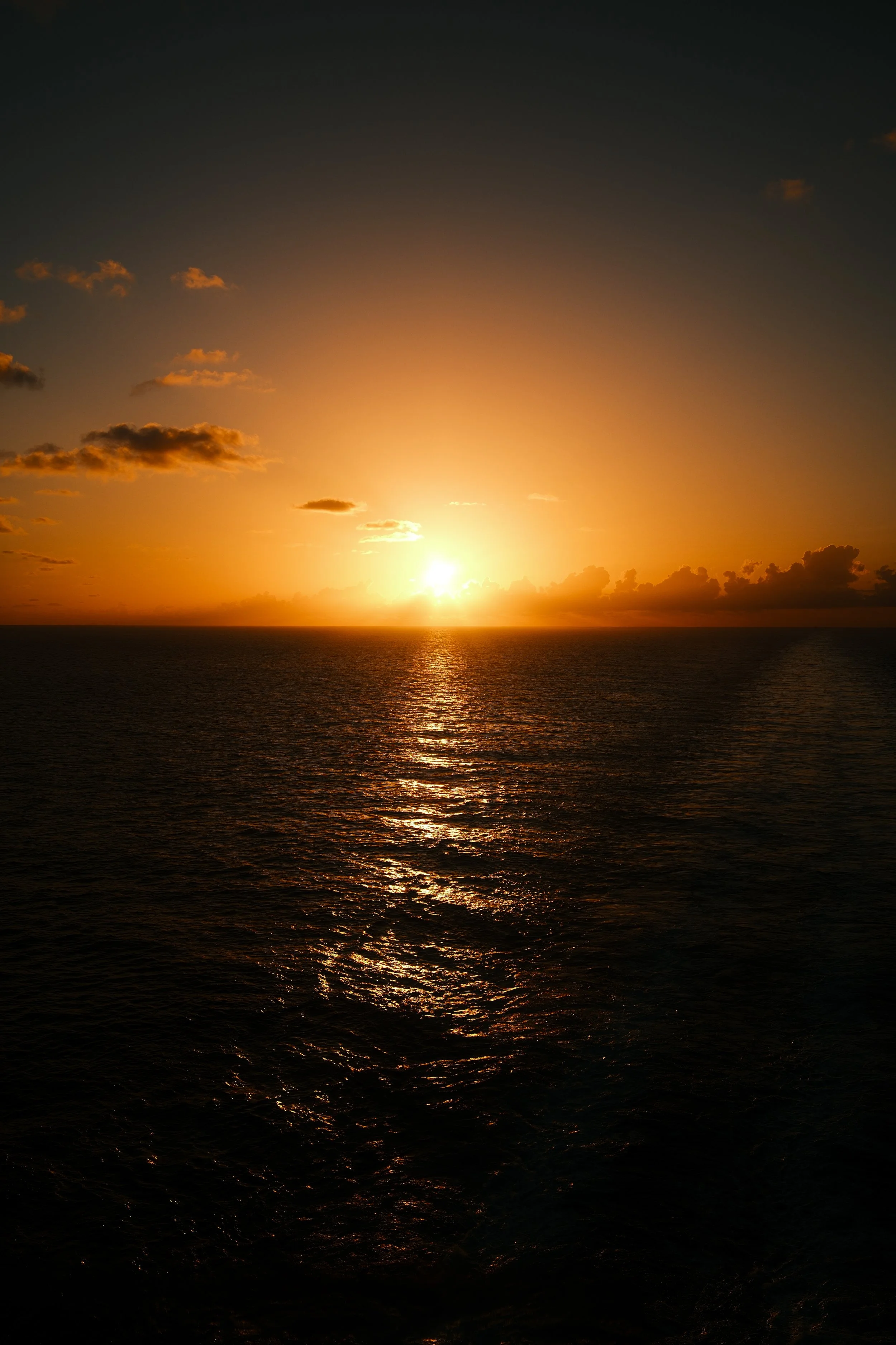 DSCF1169.JPG
