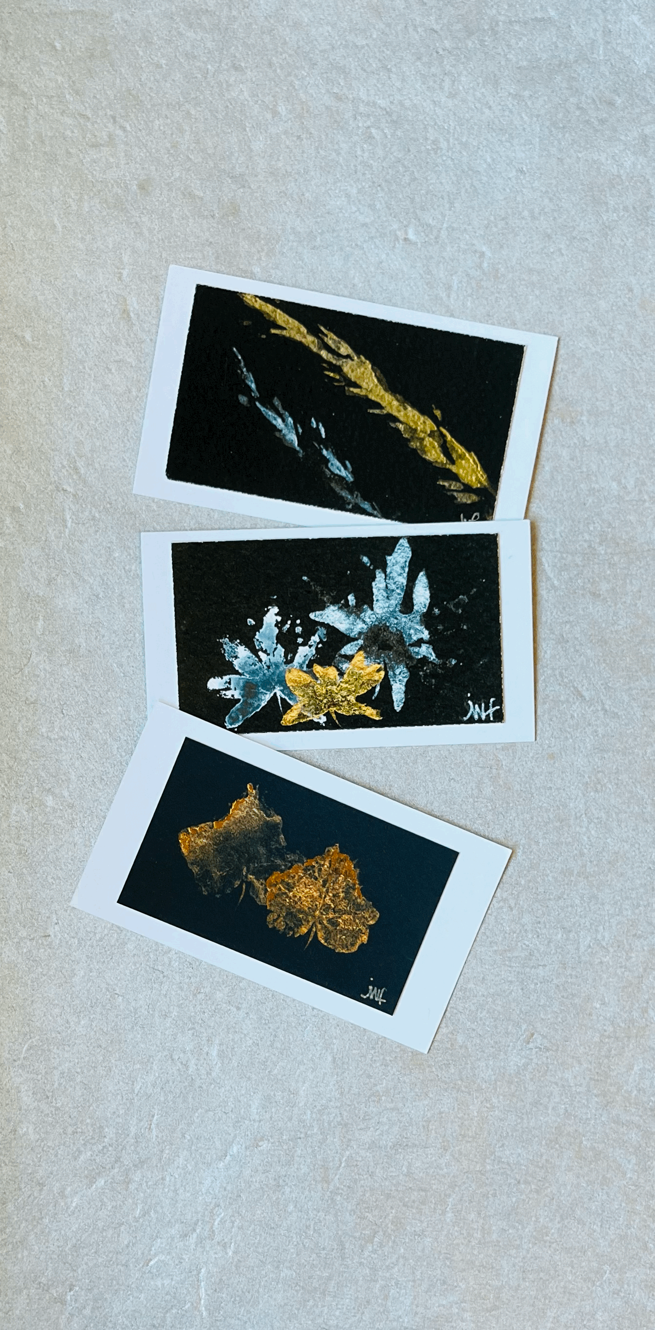 Candlelight Enclosure Card Collection