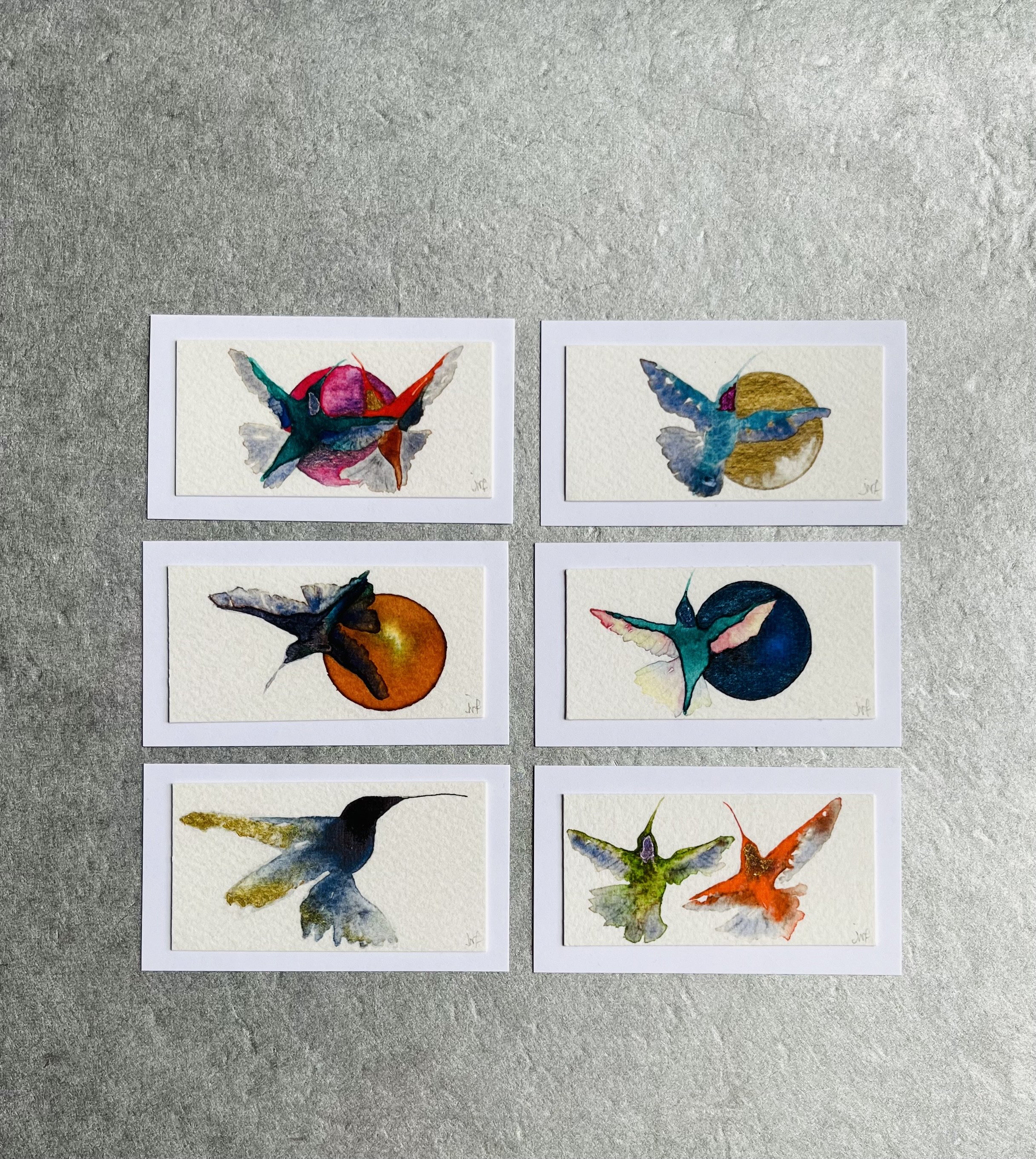 Hummingbird Enclosure Card Collection