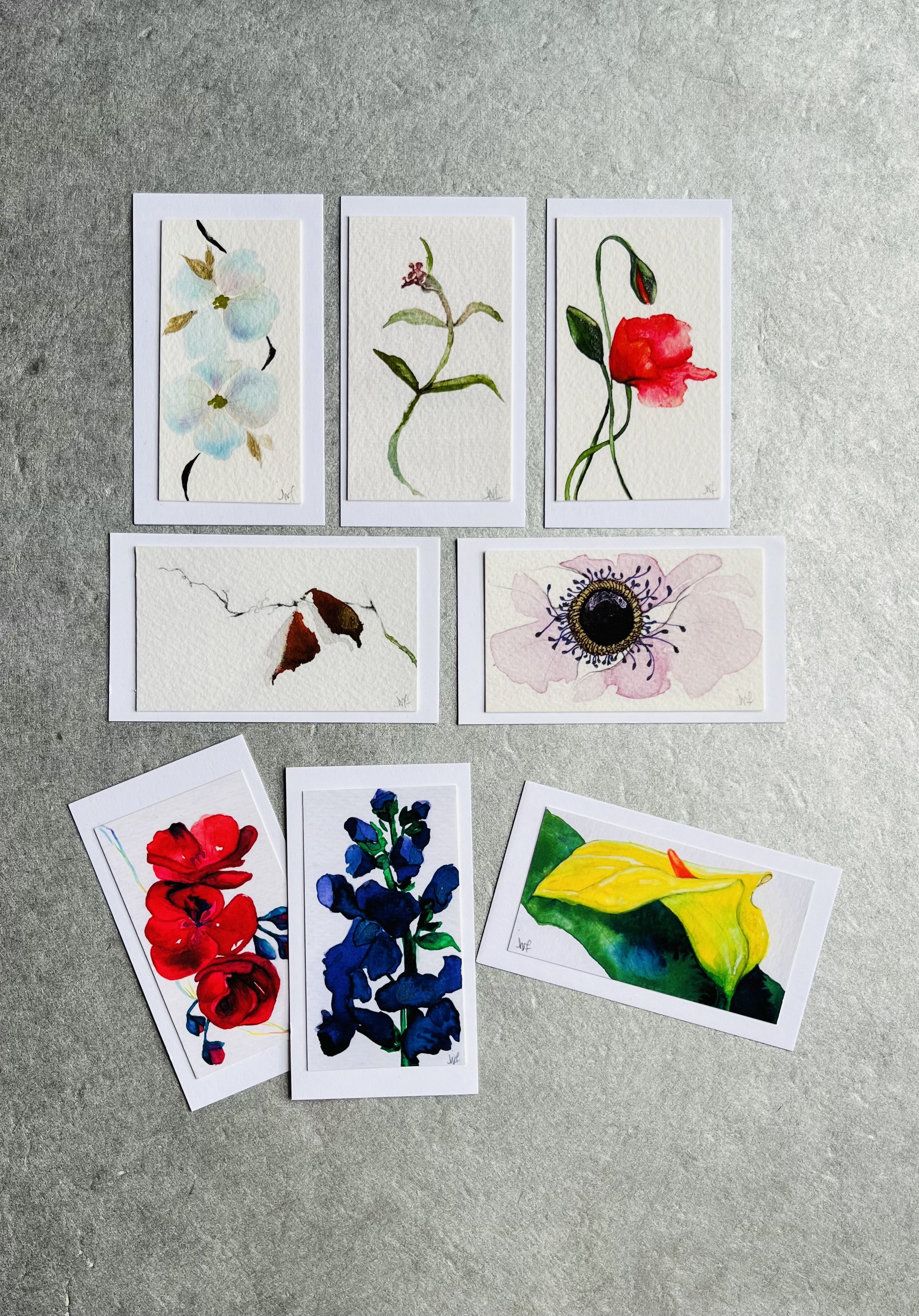 Floral Enclosure Card Collection