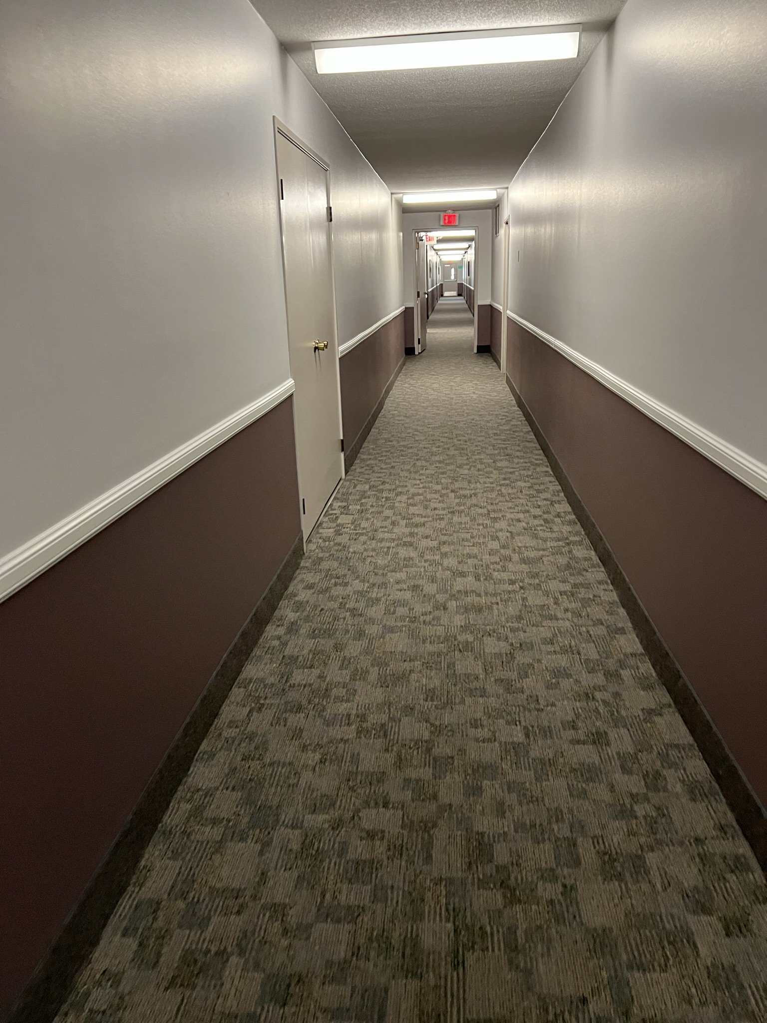IMG_5310.JPEG