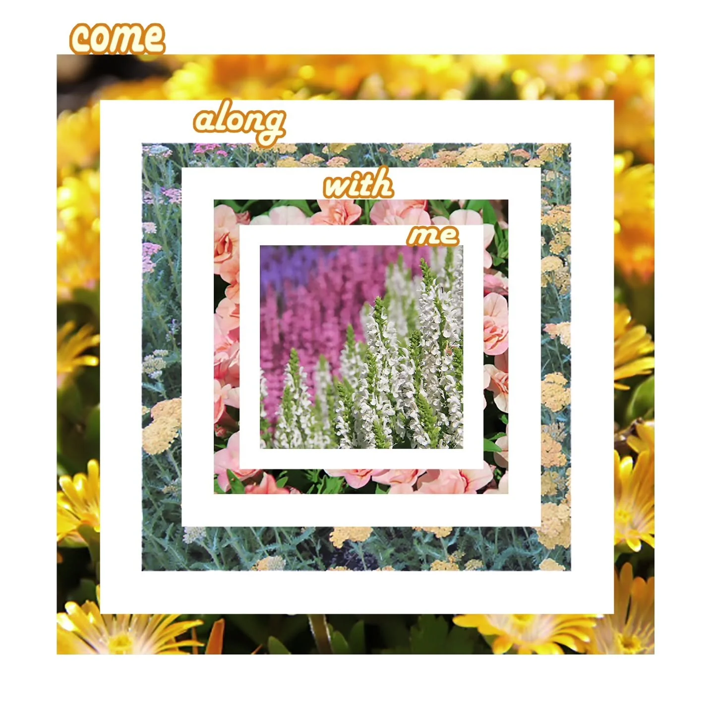 Working on a small 5x5 zine that will be a mix of photography and doodles eta is &macr;⁠\⁠_⁠(⁠ツ⁠)⁠_⁠/⁠&macr;