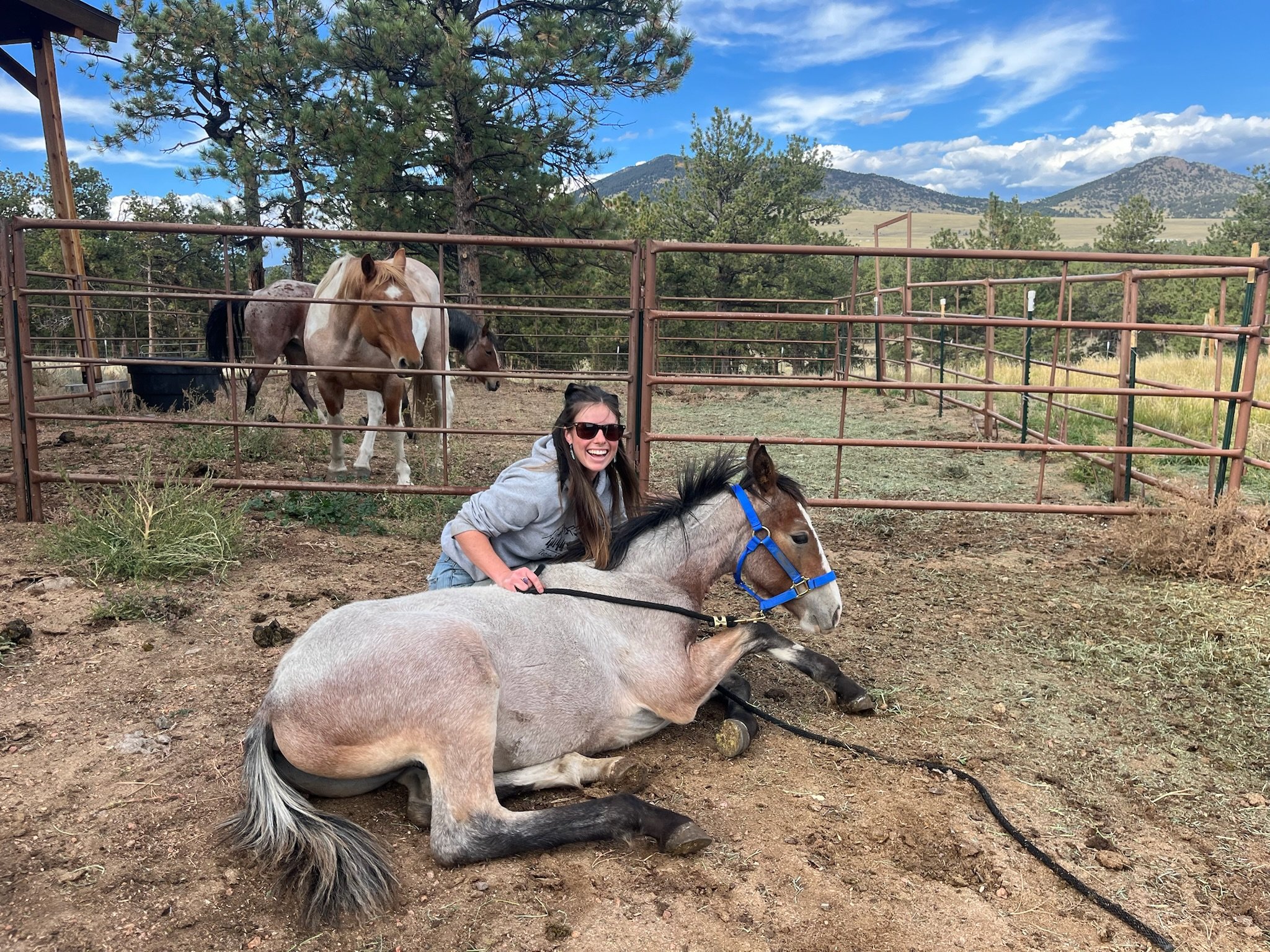 A woman with long hair, sunglasses, and a grey hoodie is smiling while sitting on a small, lying-down horse with a grey coat, black mane, and a blue halter in an outdoor setting with a dirt ground and horse pens. In the background, two horses are standing behind a fence, with mountains, trees, and a partly cloudy blue sky.