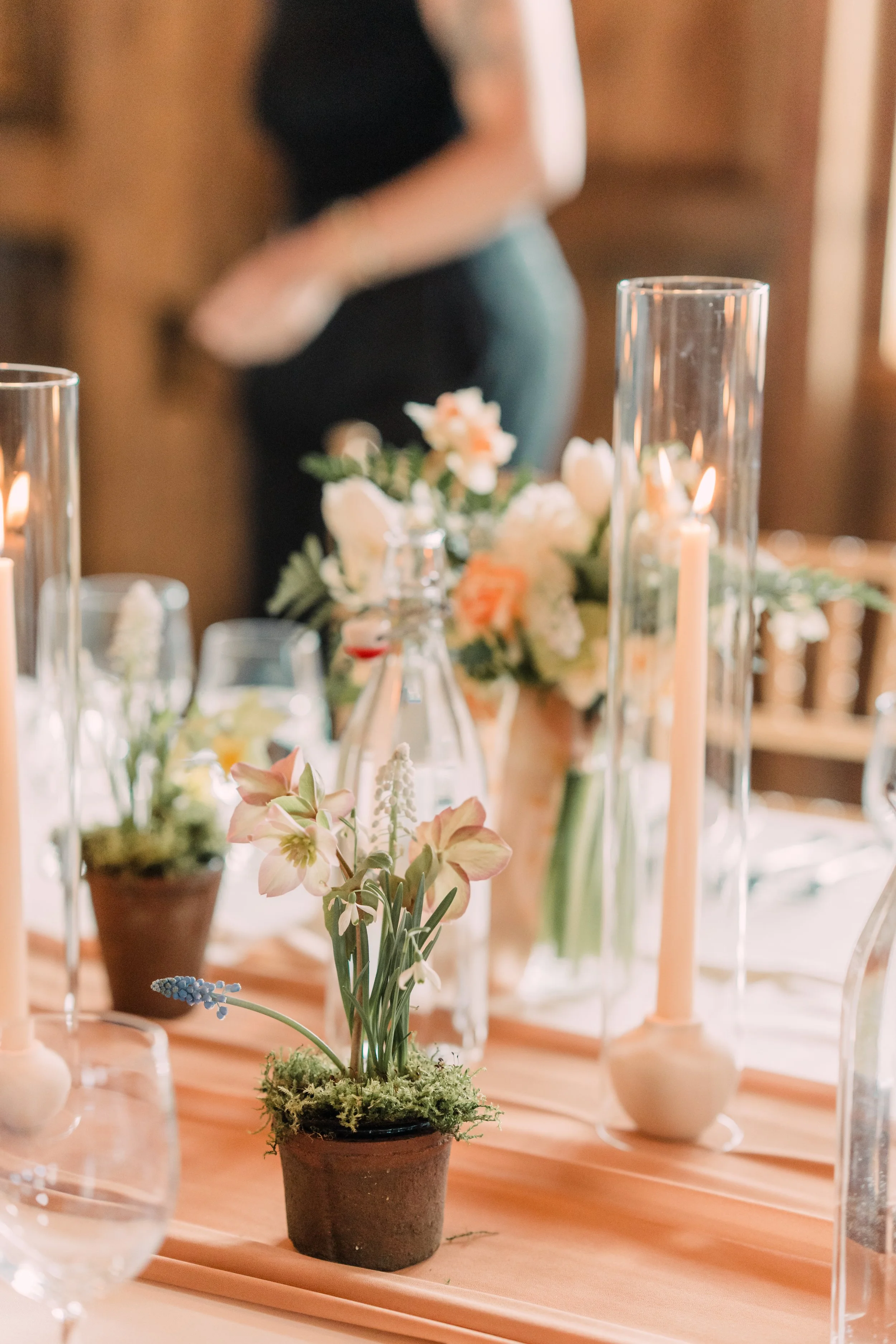 INTIMATEWEDDING_03202025-06714-1 - Copy.jpg