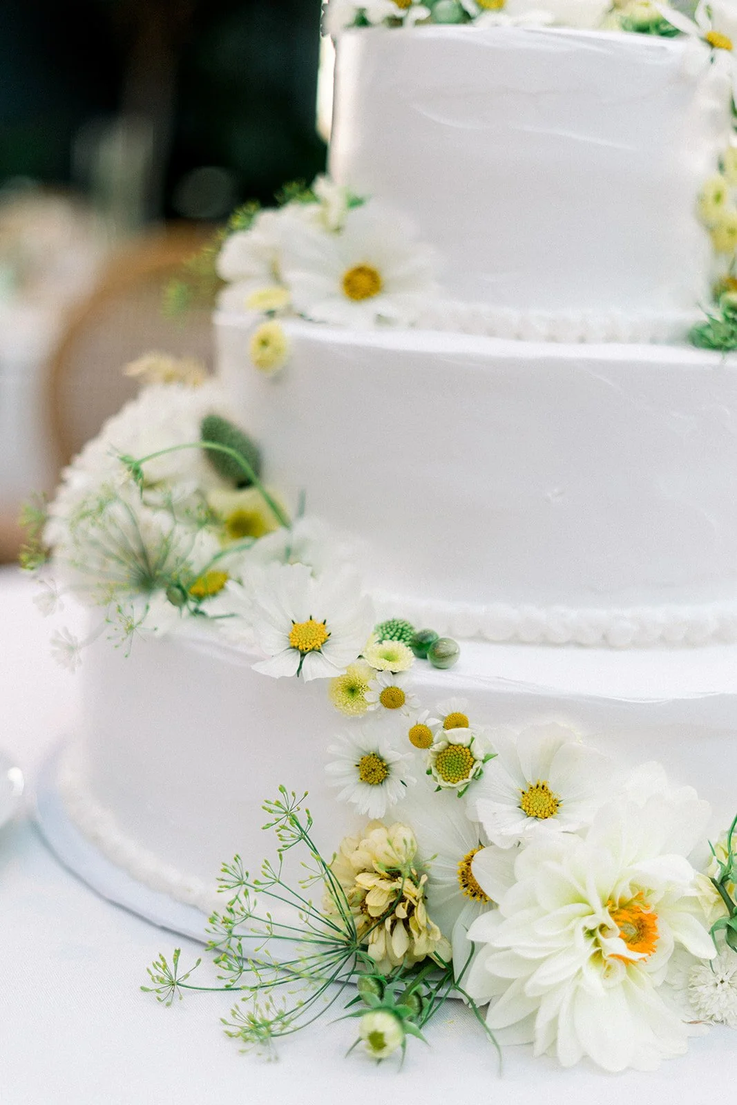 Katia & Arthur-646_websize.jpg