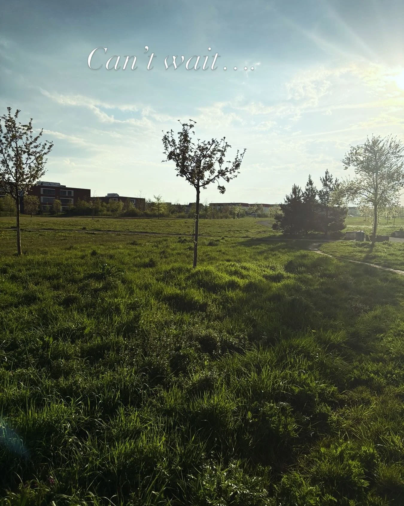 As you have seen on my last post, my sweet Watson is still stuck in LA as the Lufthansa strike continued. He is scheduled to fly out tomorrow, the 19th. My prayer continues that he will be here on Monday. I can&rsquo;t wait for Watson to see the gree