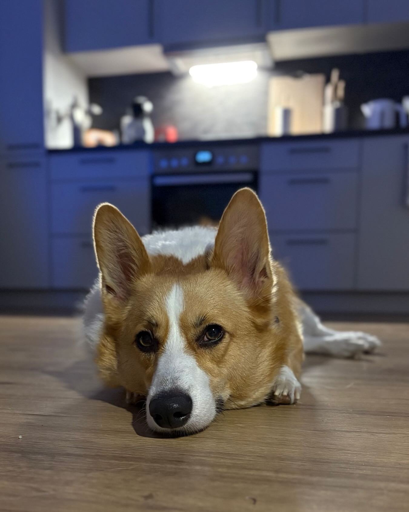 Finally home&hellip;