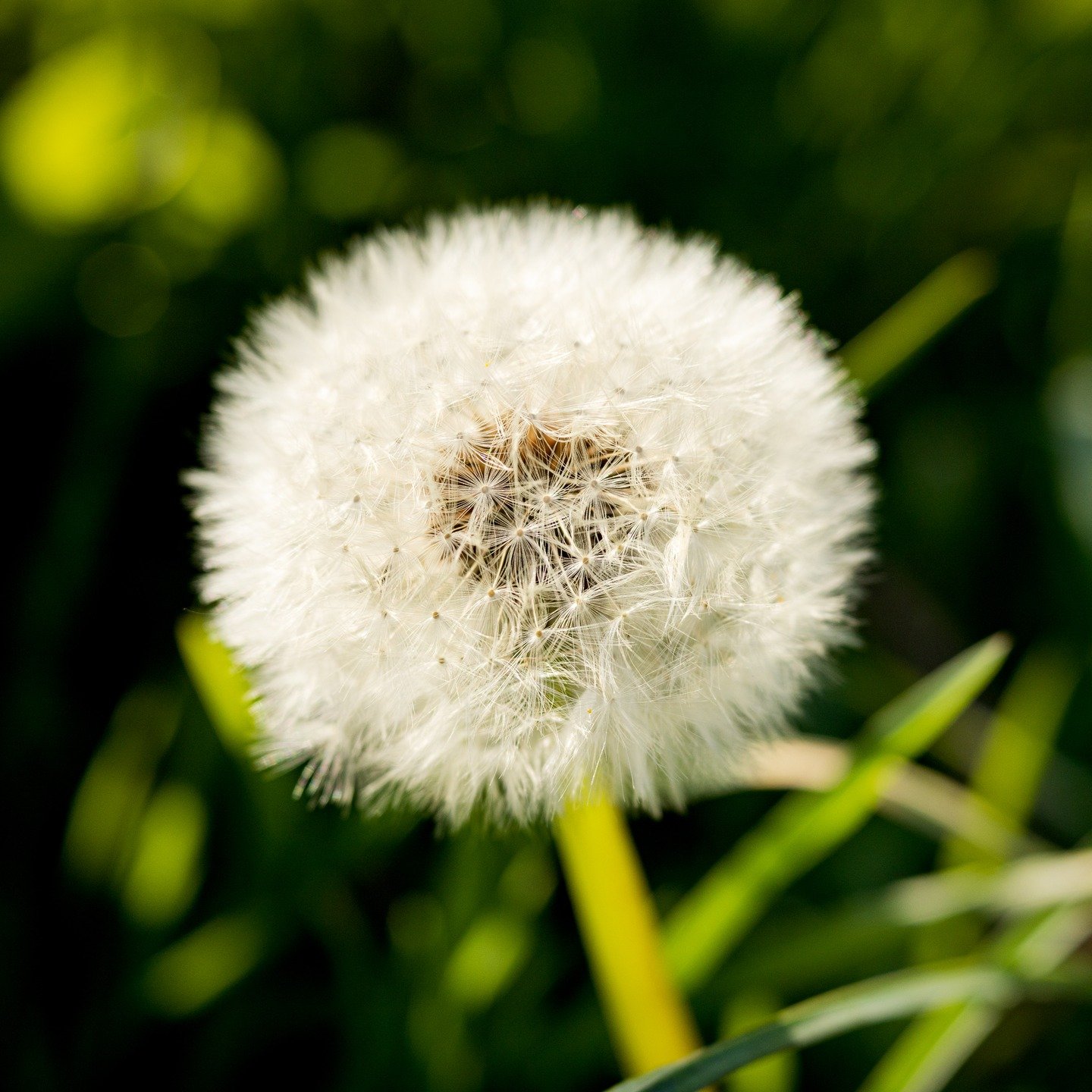 We often are so focused on the next big thing: a new house, a new apartment, a new (better?) job, a new car (actually I purchased one today - lol - more about that later). 
As I have been slowing down over the past month, I am more focused on the sma