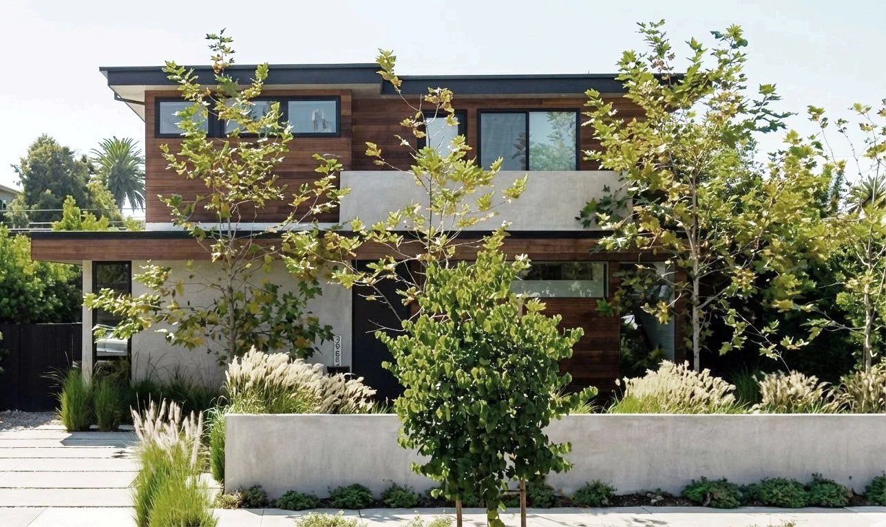 YOUNG GROVE HOUSE,
LOS ANGELES, CA
COMPLETED 2024
                                                                                  
The house finds its place among young sycamores, shaped by light, air, and time as building and landscape evolve toge