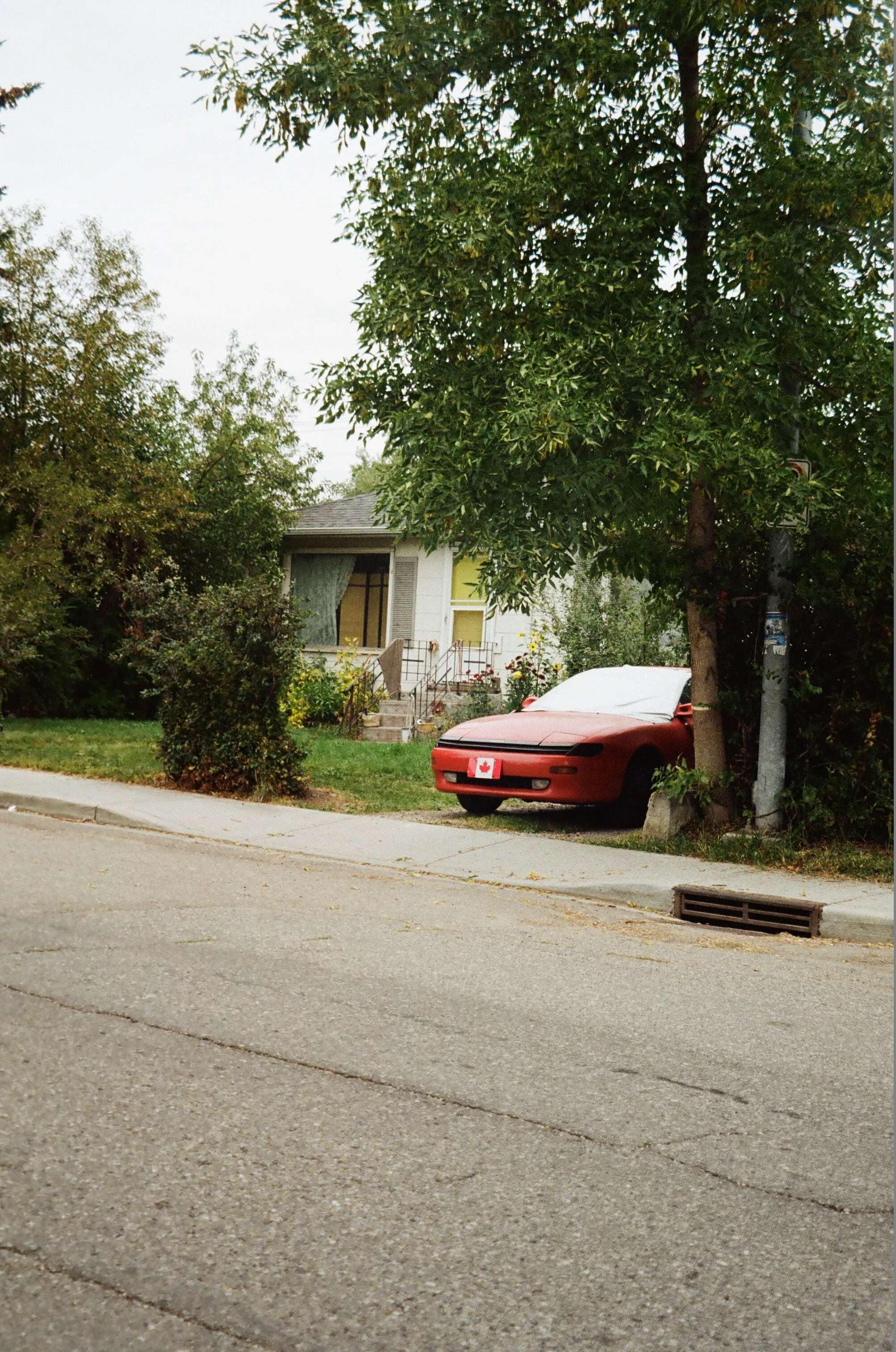 000214870018.jpg