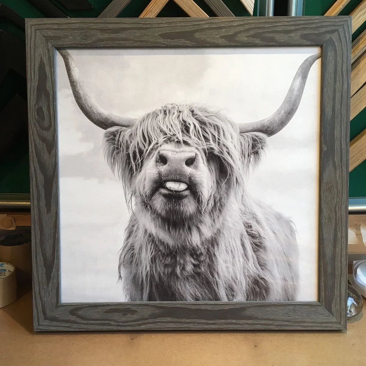 framed-highland-cow.jpg