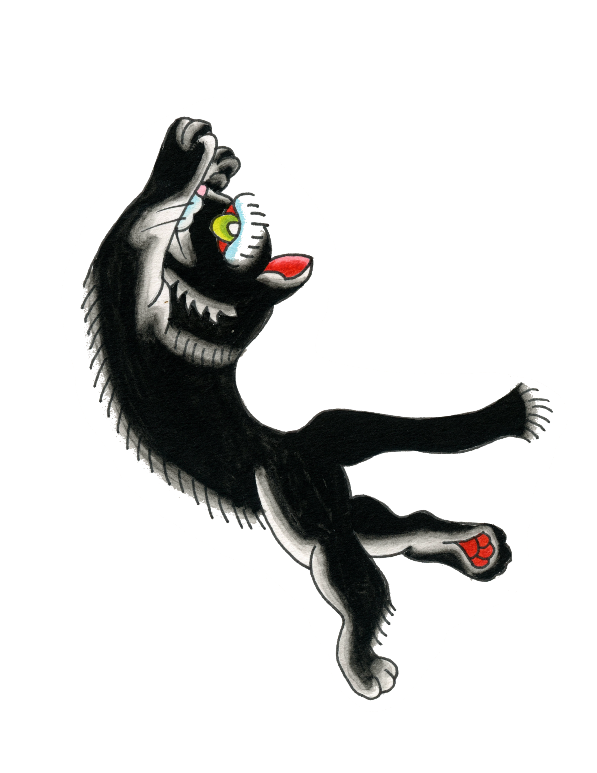 IMG_2772.PNG