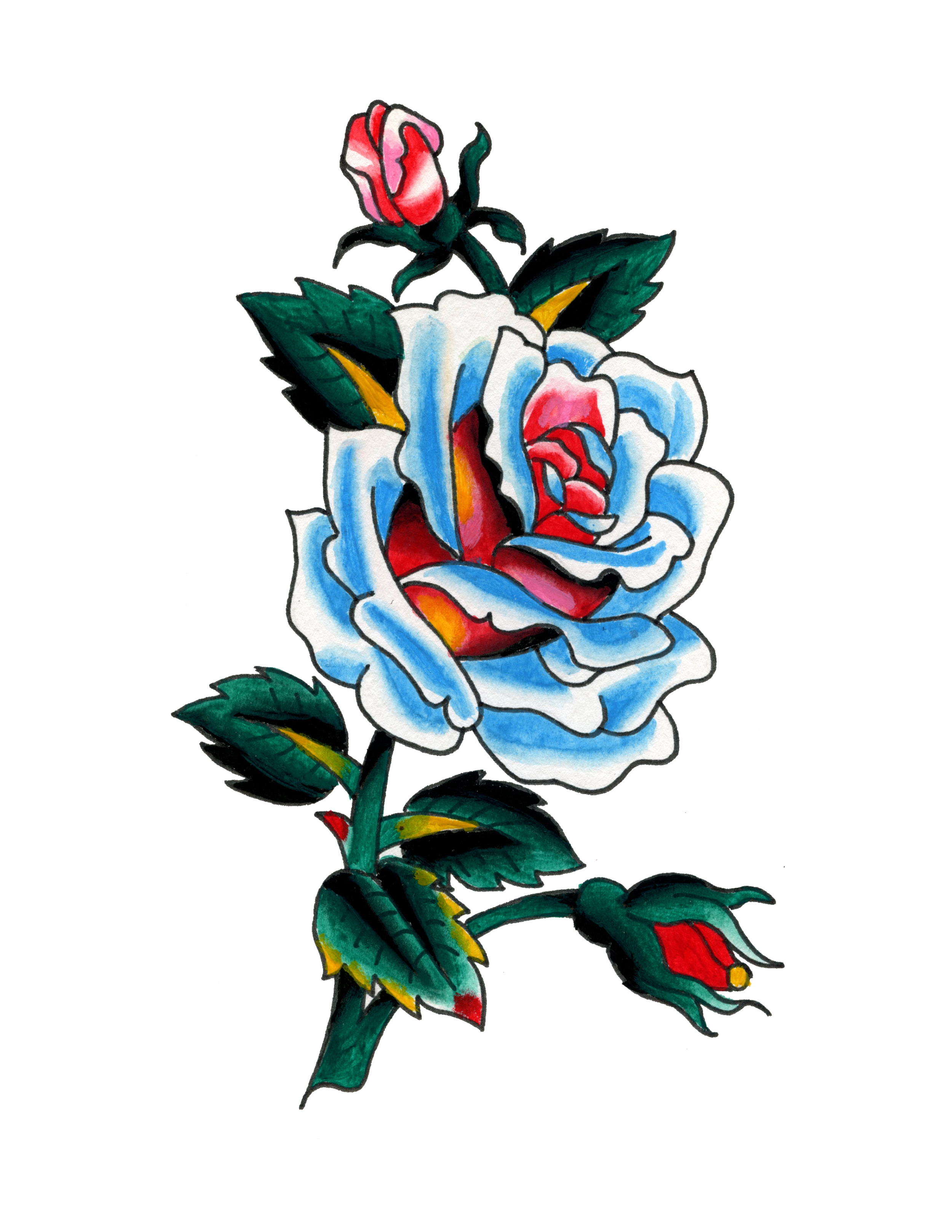 IMG_2756.PNG