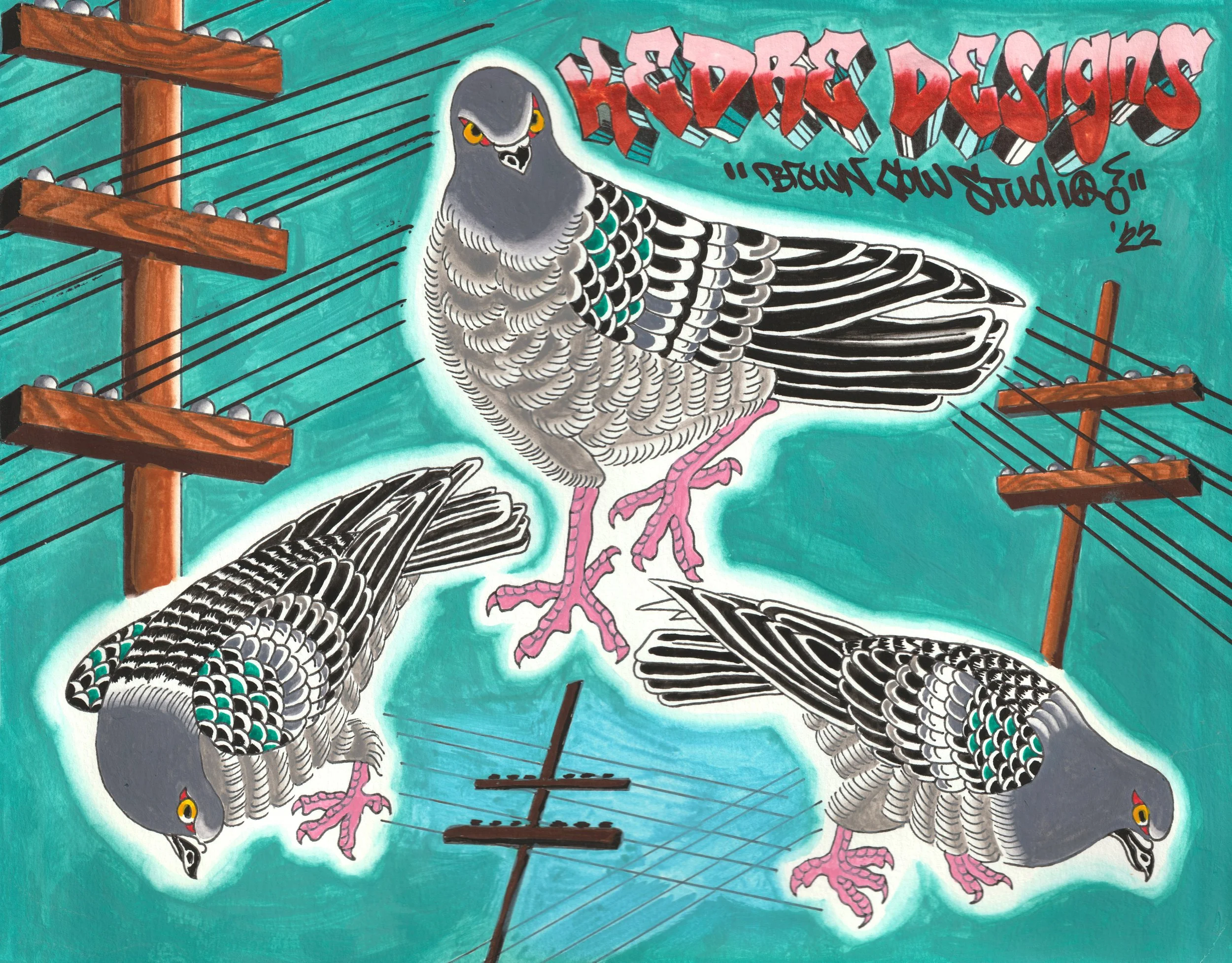 pigeon flash.jpg