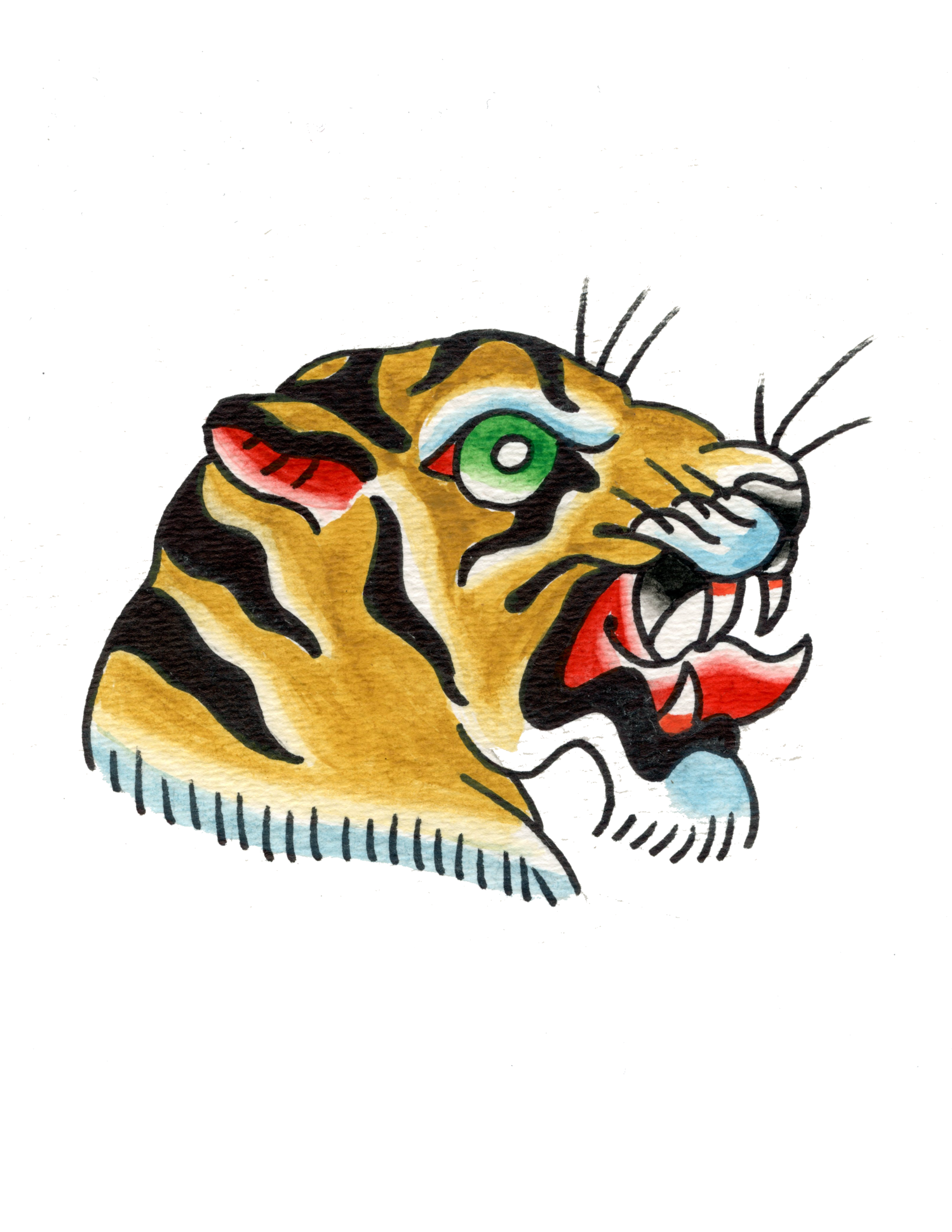 IMG_2802.PNG