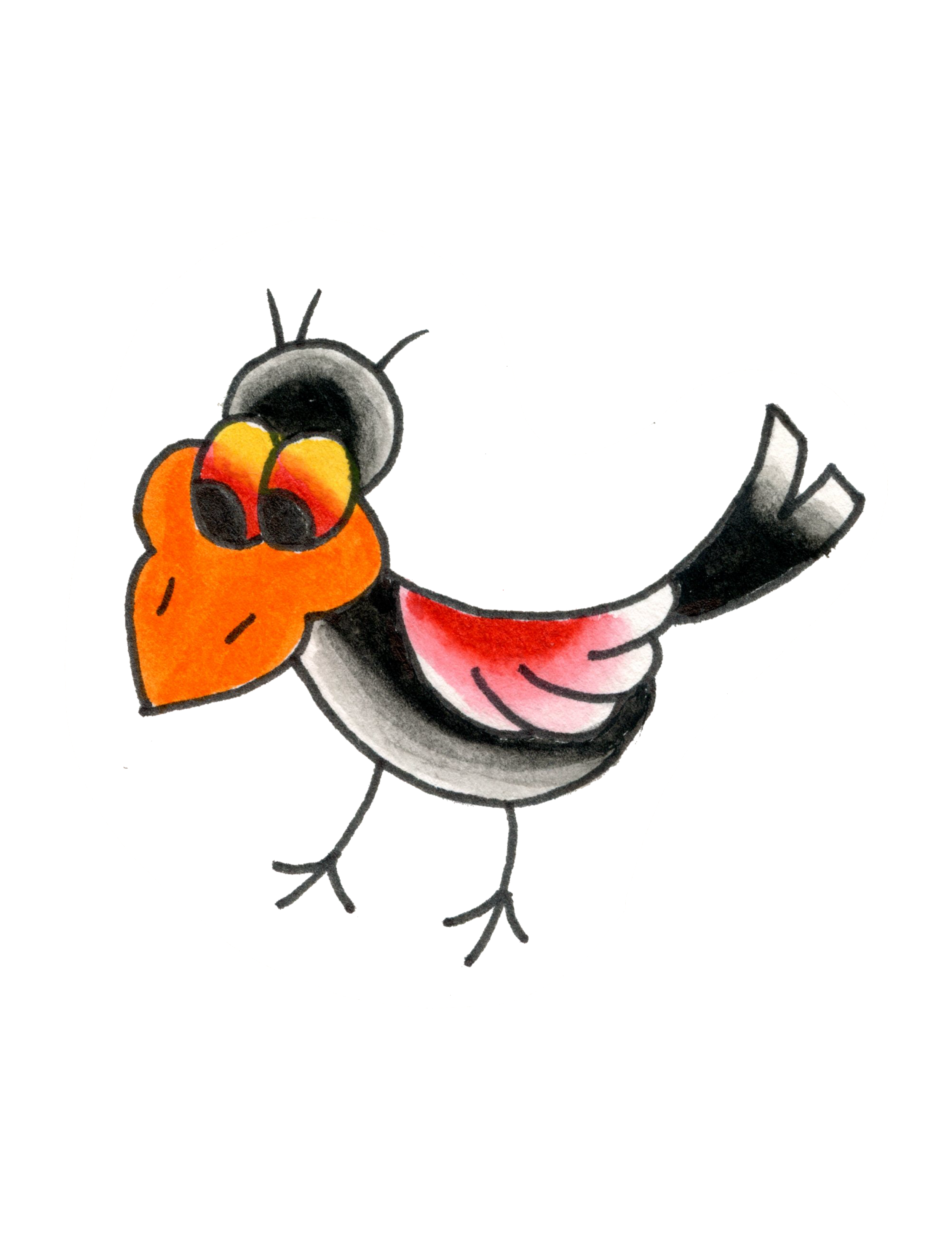 IMG_2785.PNG