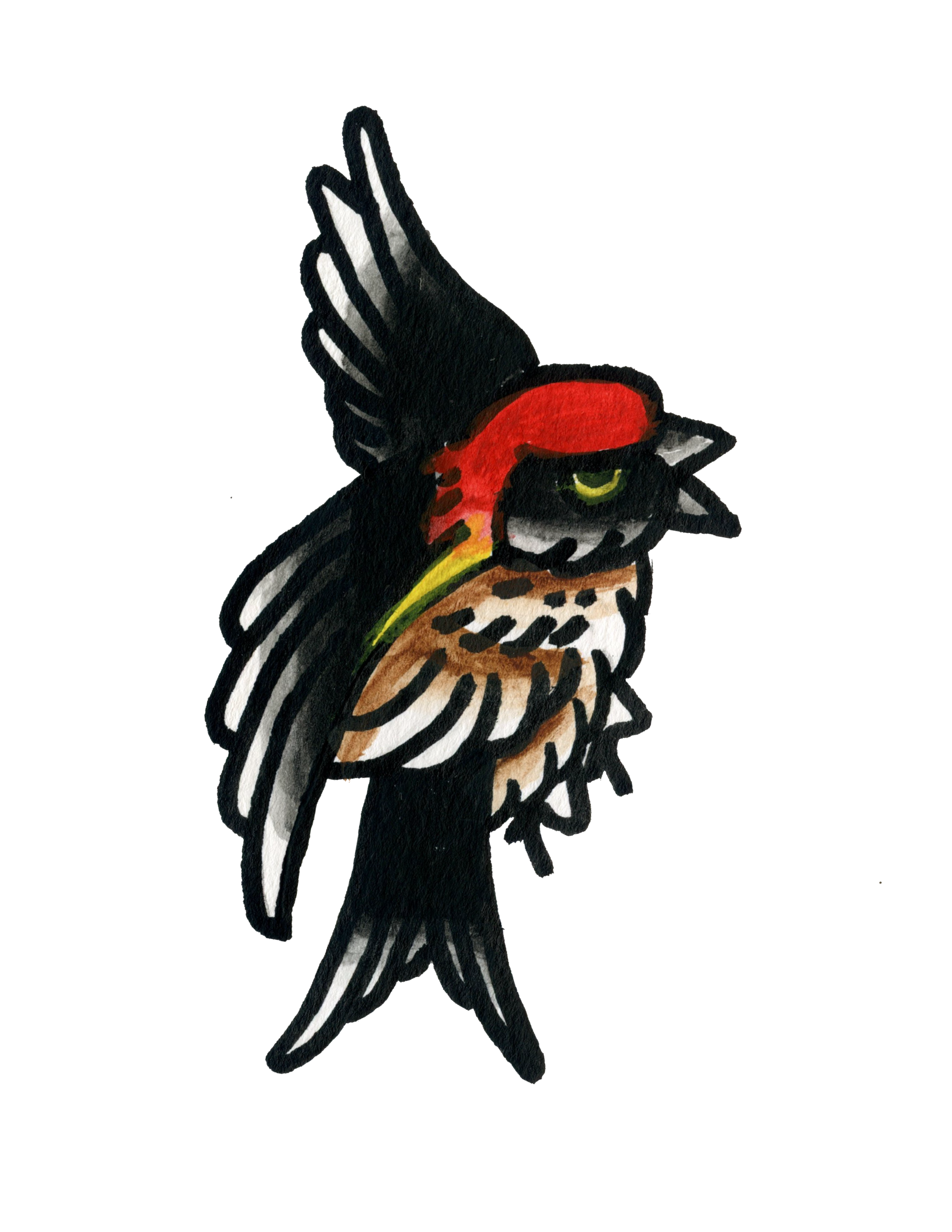 IMG_2850.PNG