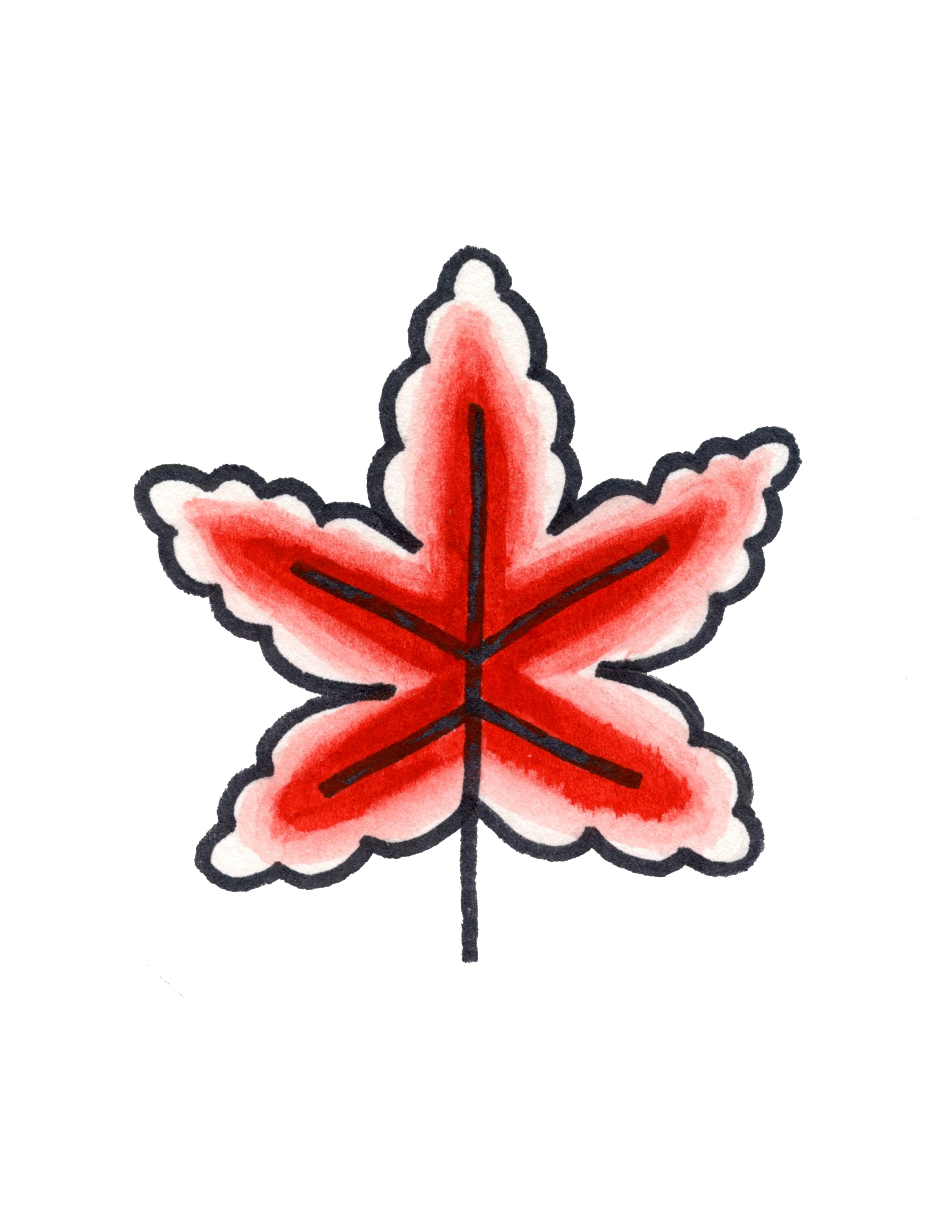 IMG_2839.PNG