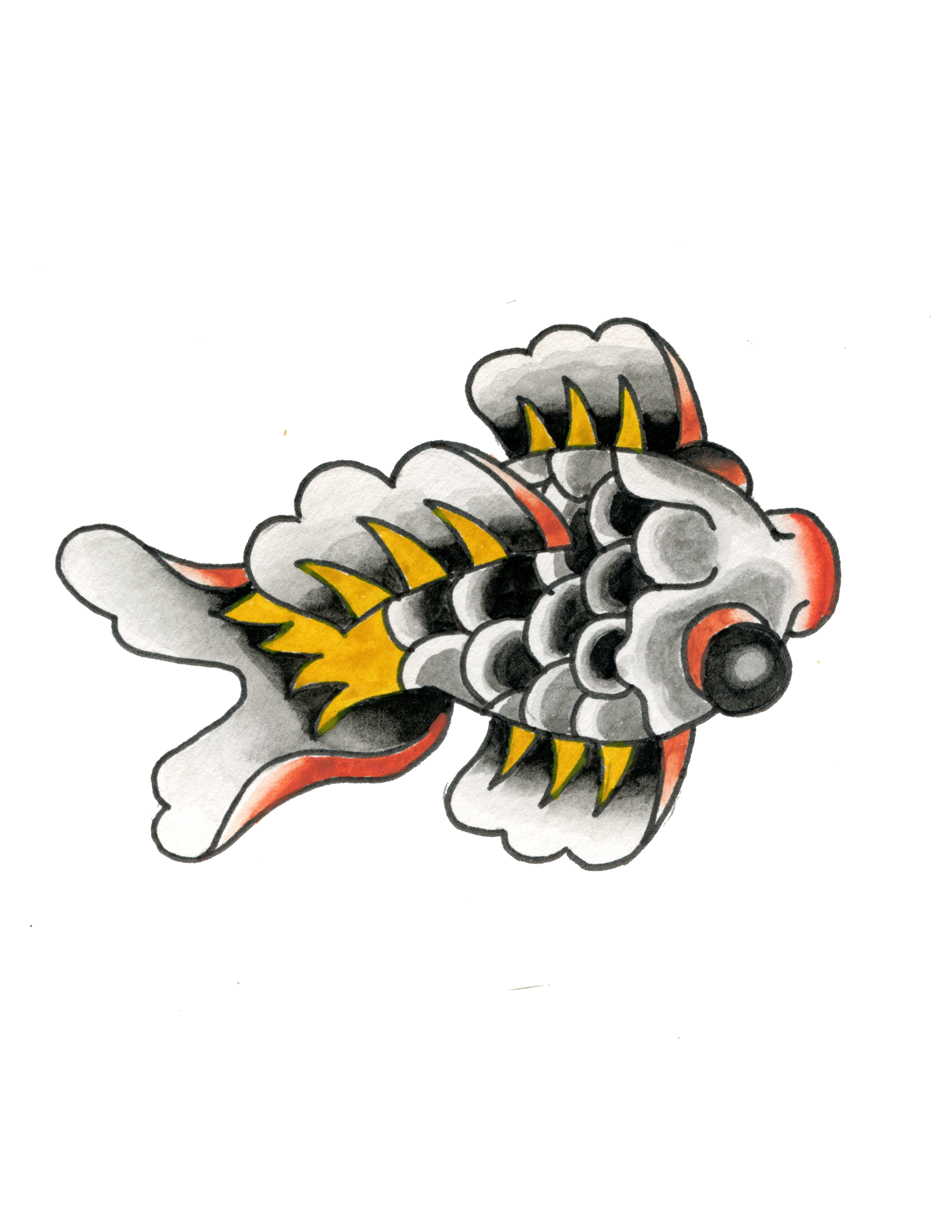 IMG_2799.PNG