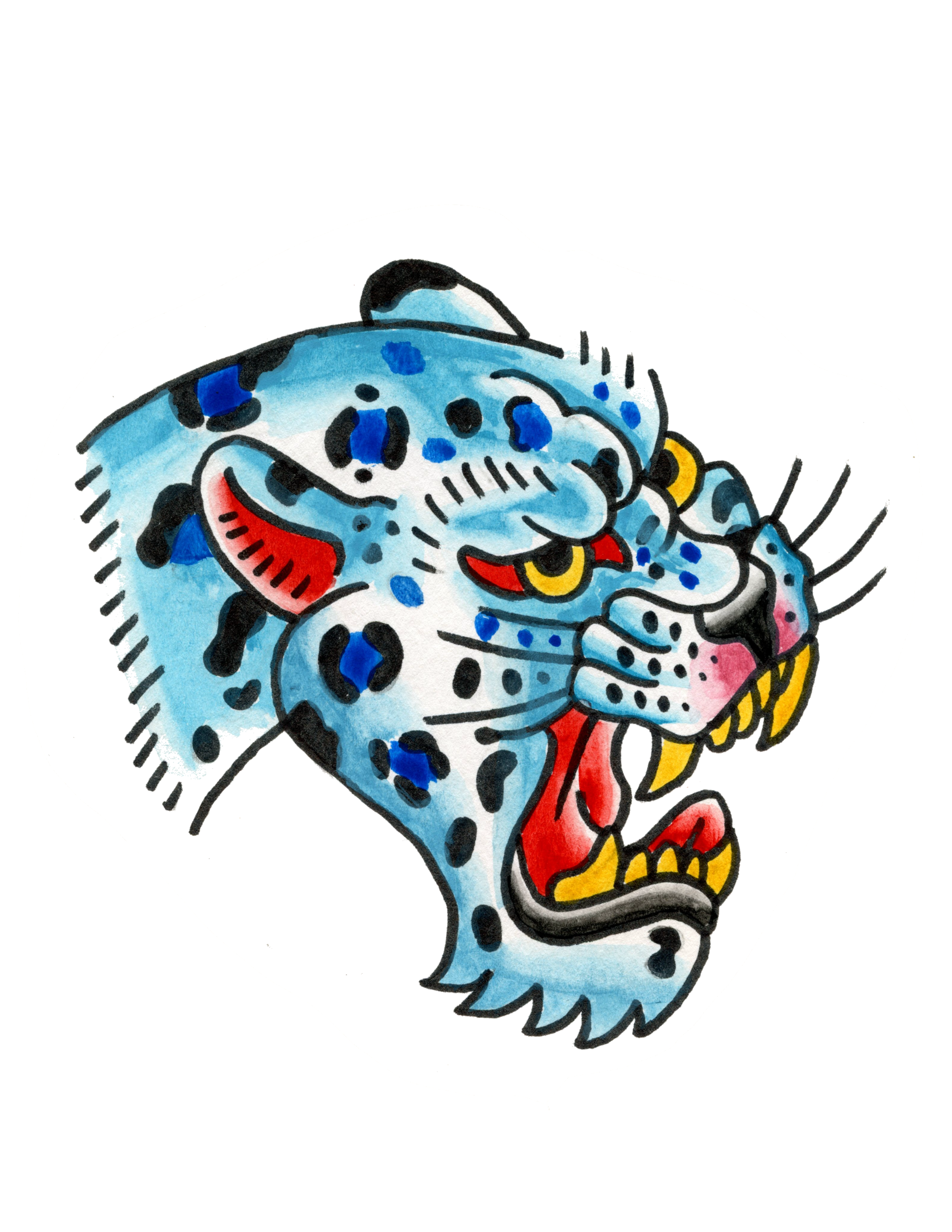 IMG_2778.PNG
