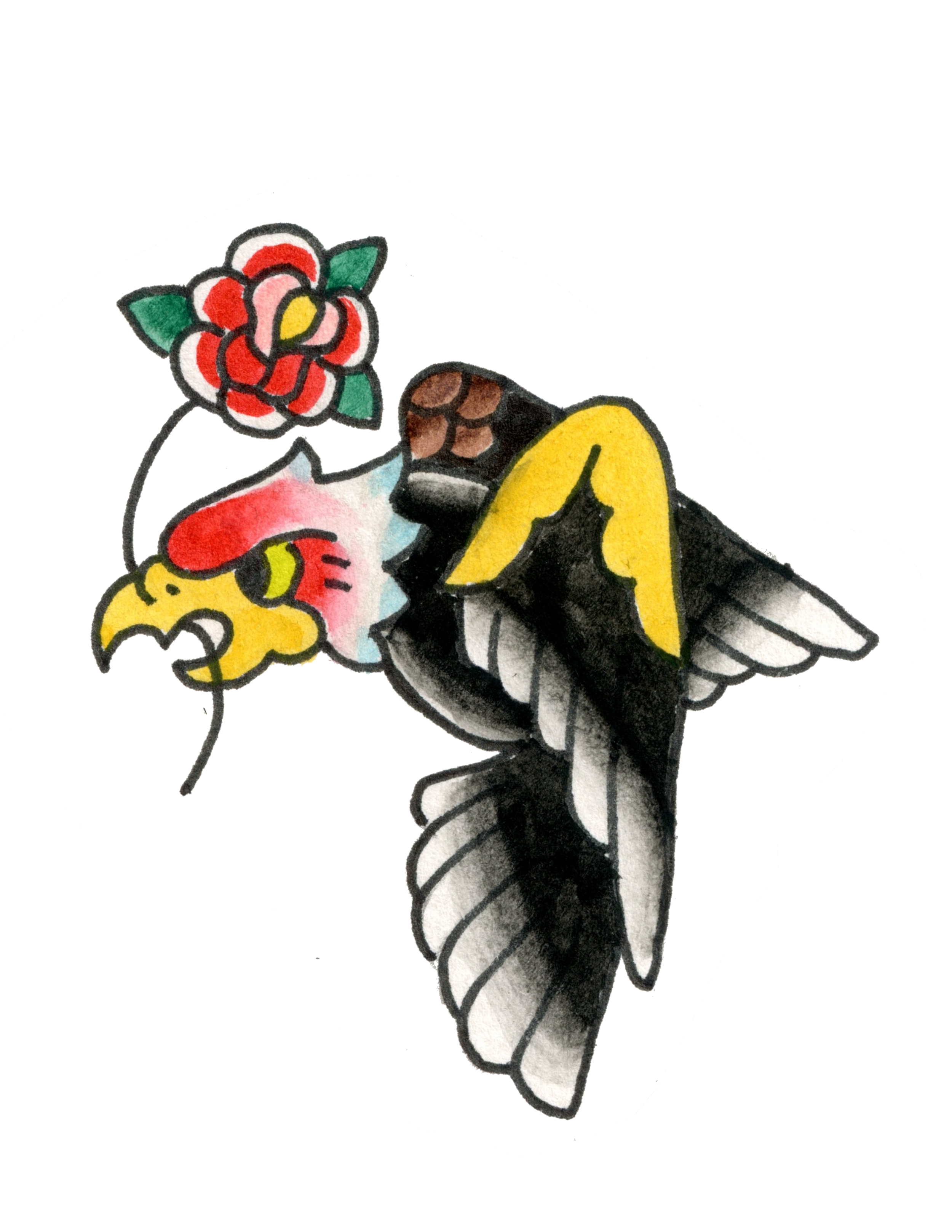 IMG_2787.PNG