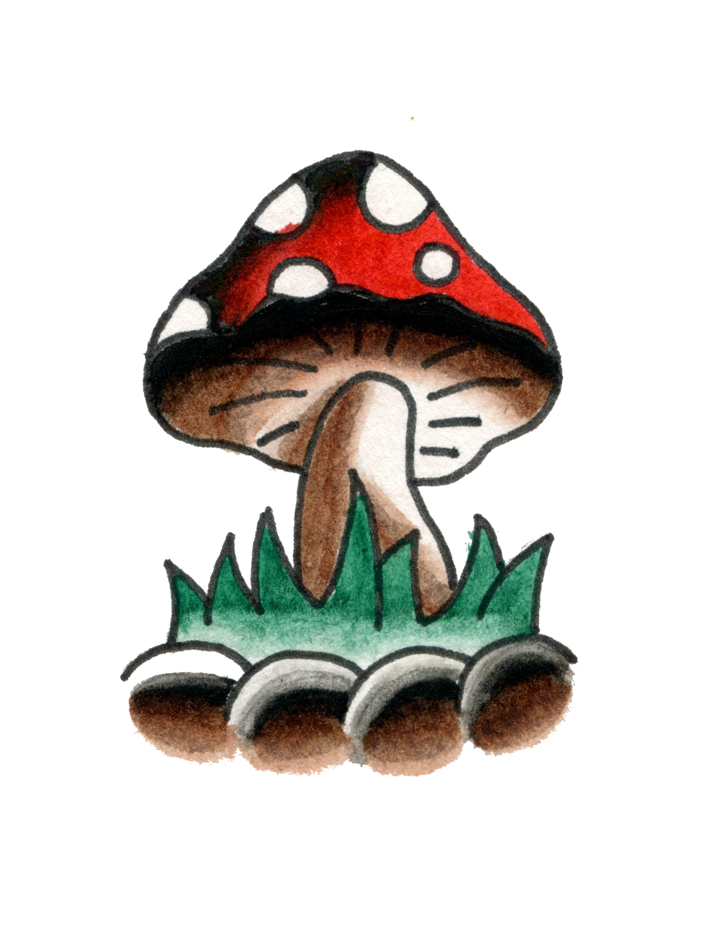 IMG_2789.PNG