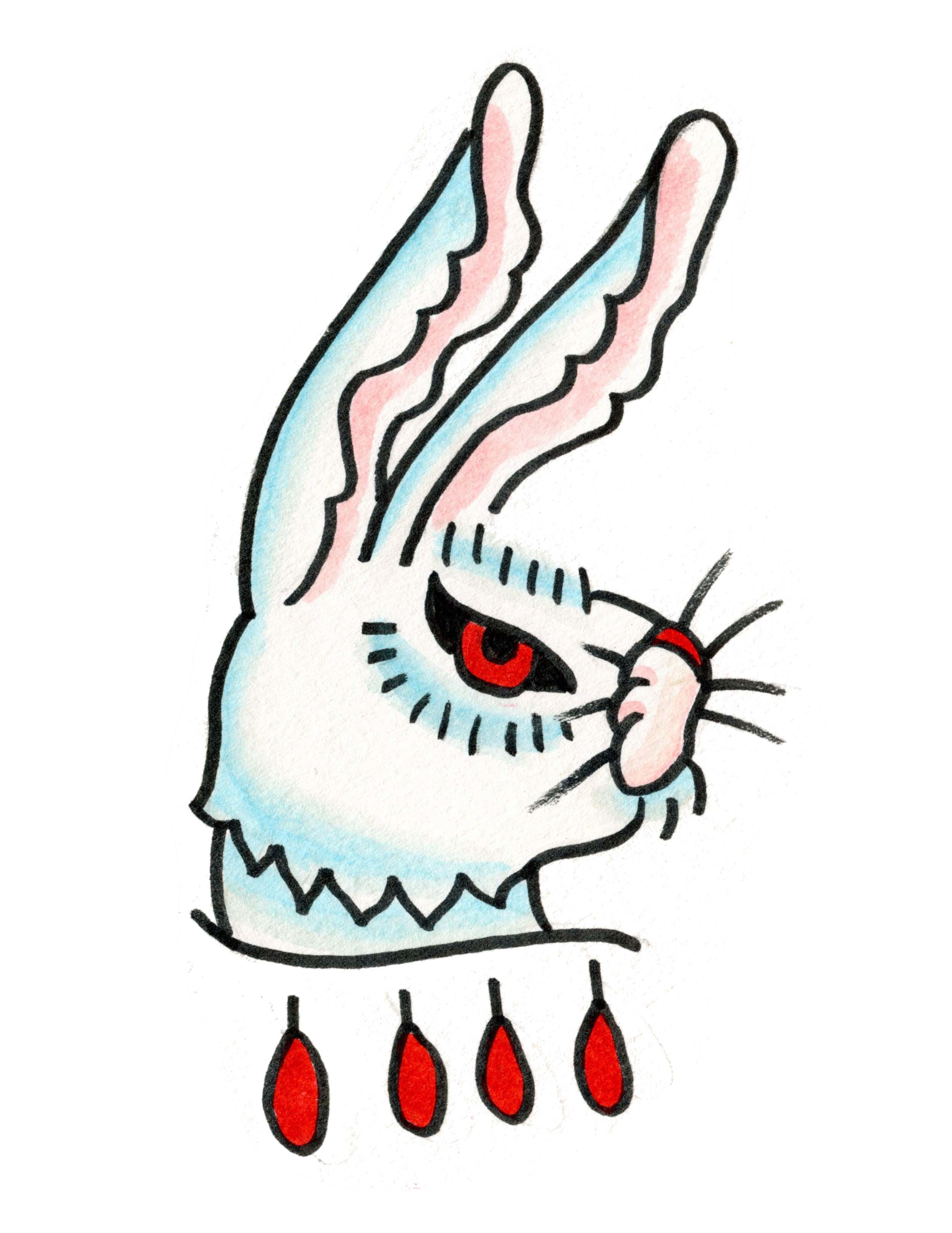 IMG_2777.PNG