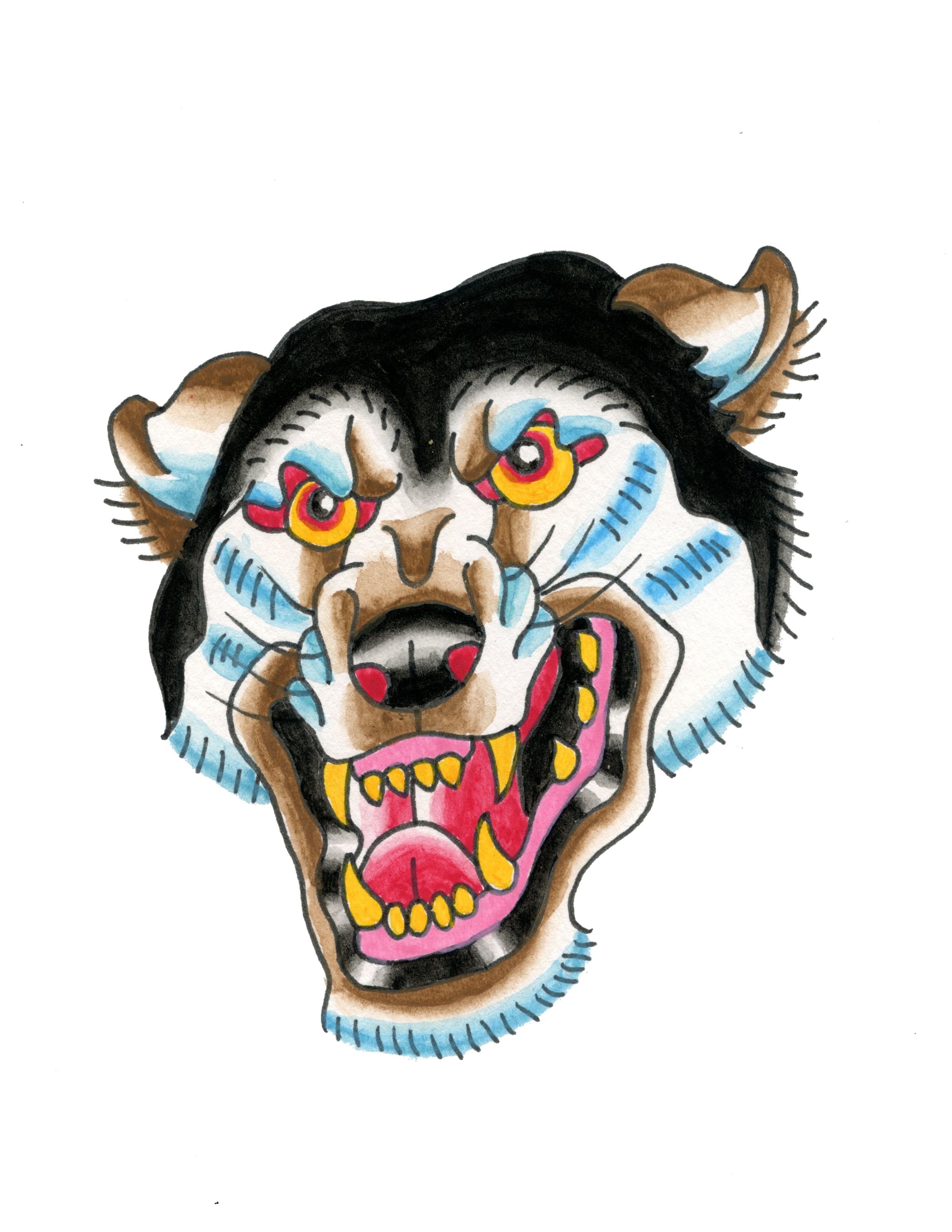 IMG_2797.PNG