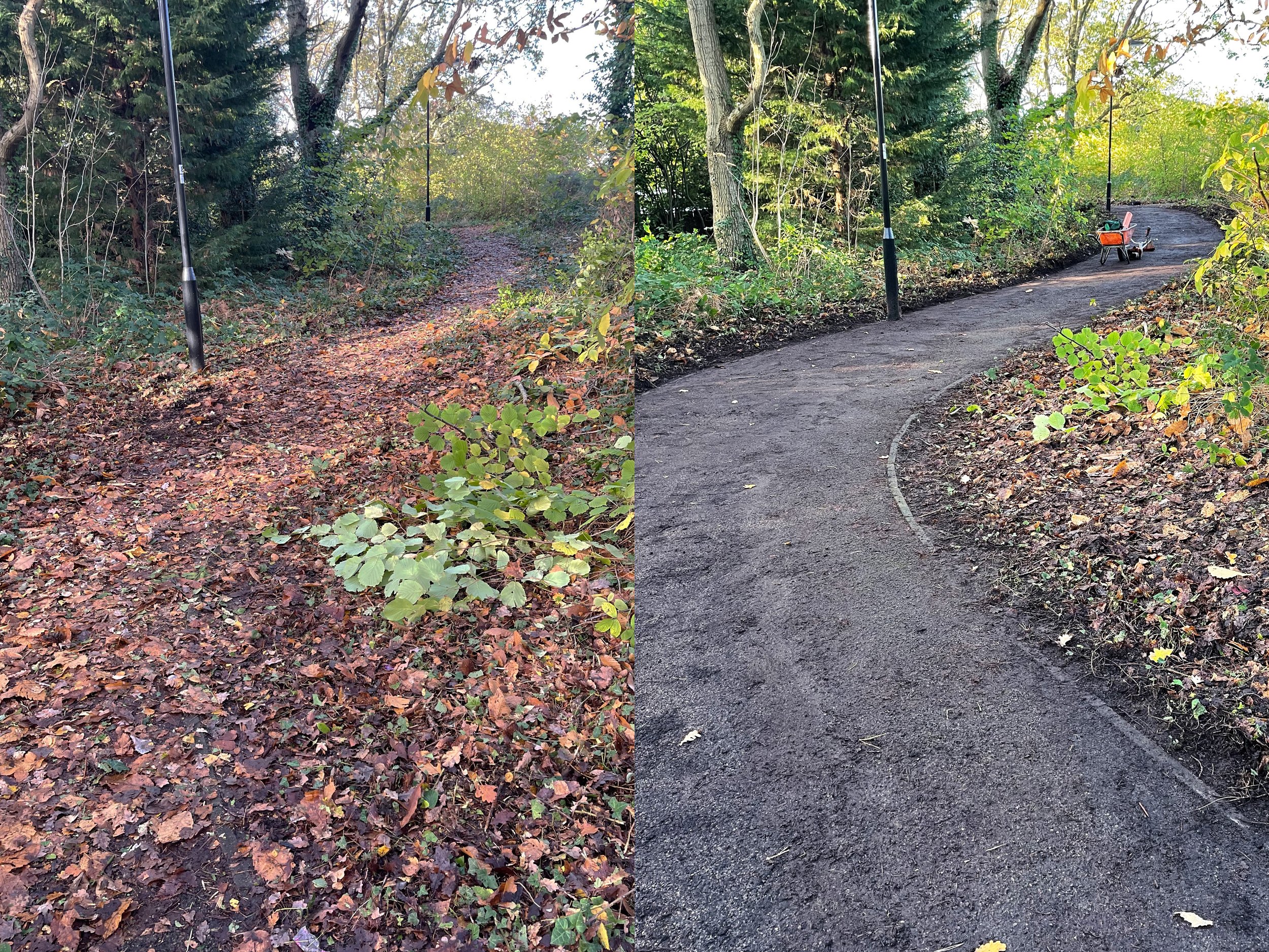 before after path clearance.jpg