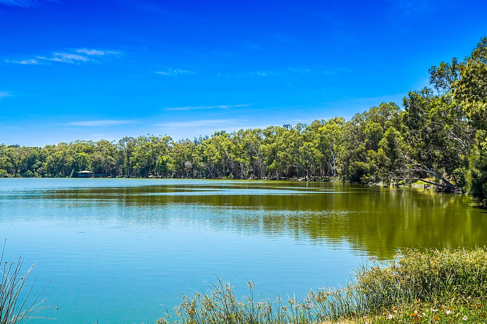 Set 1 (42 of 43).jpg