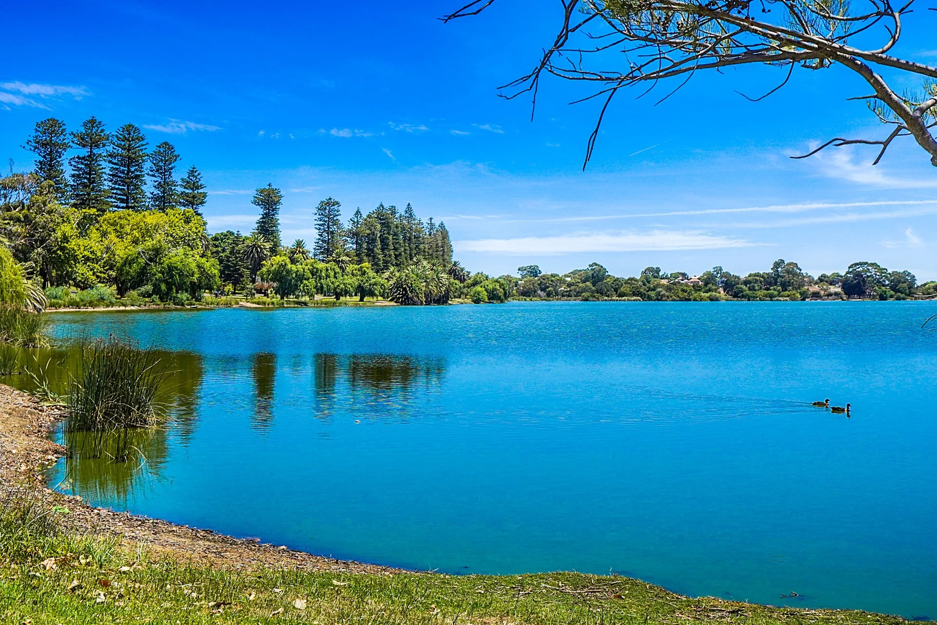 Set 1 (43 of 43).jpg