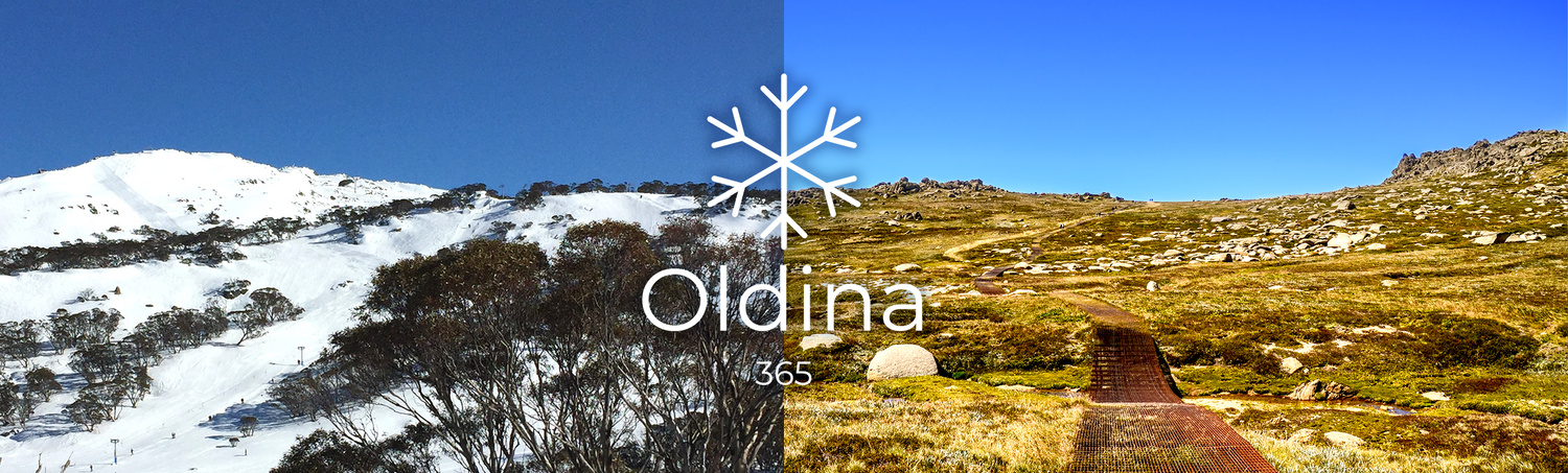 Availability — Oldina Perisher