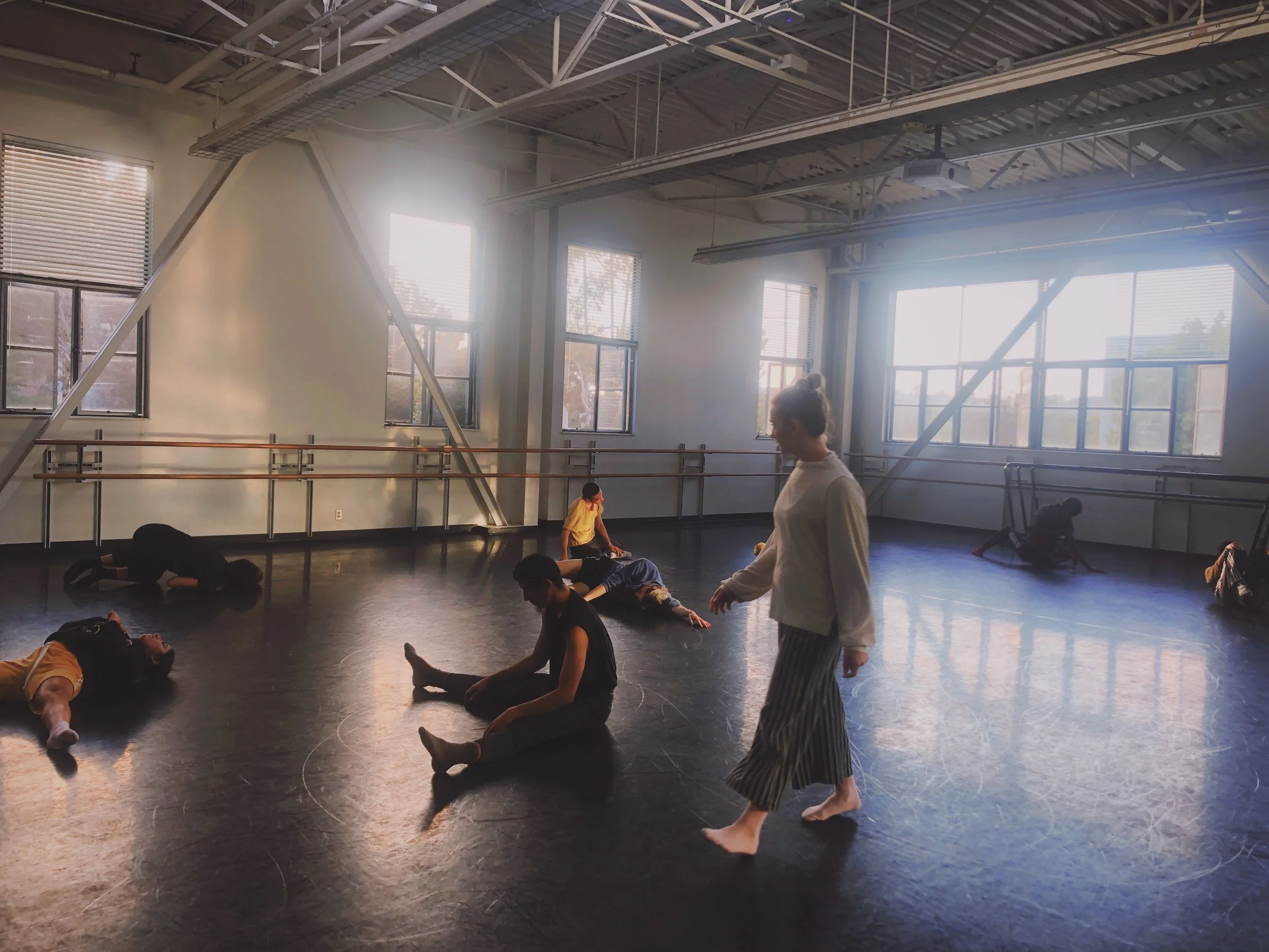 disorientation cover.jpeg