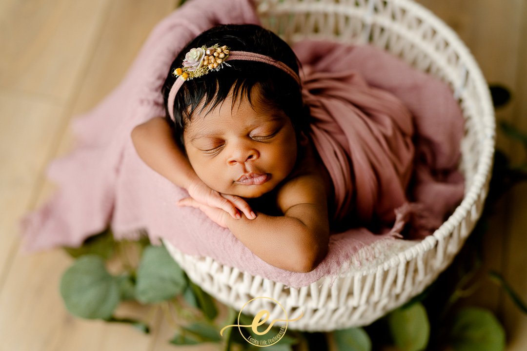 Newborn Photographer - Conway, AR