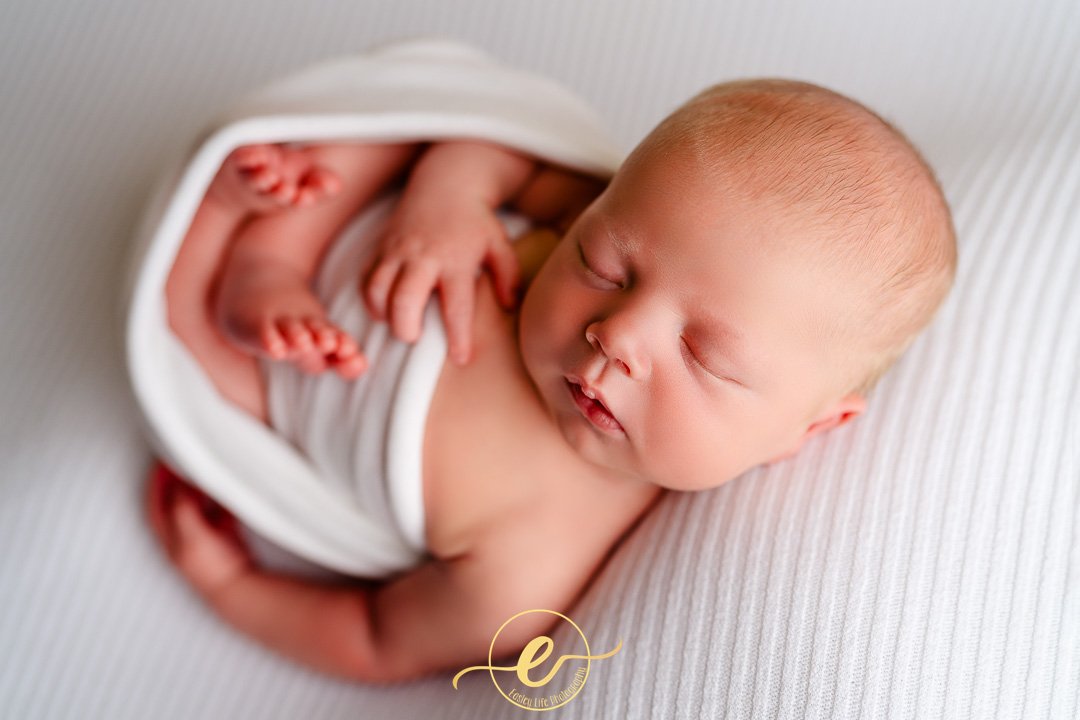 Neutral Newborn Inspiration