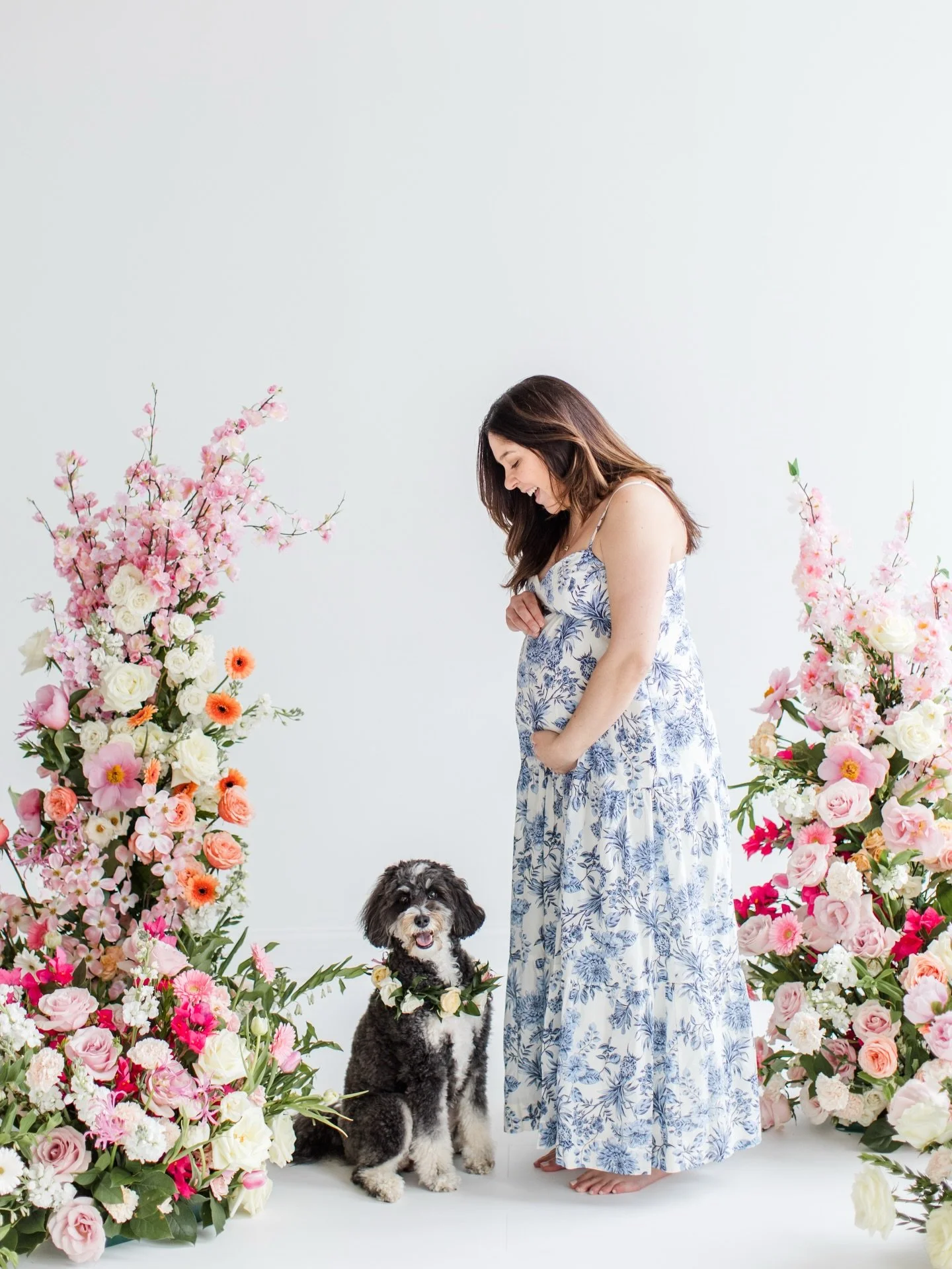 Lucky to have this pup taking care of us and lucky to be able to meet this baby boy so soon. 

When @laurendobish reached out to collaborate for her motherhood minis I knew it would be the perfect opportunity to finally get some photos of our Magnoli