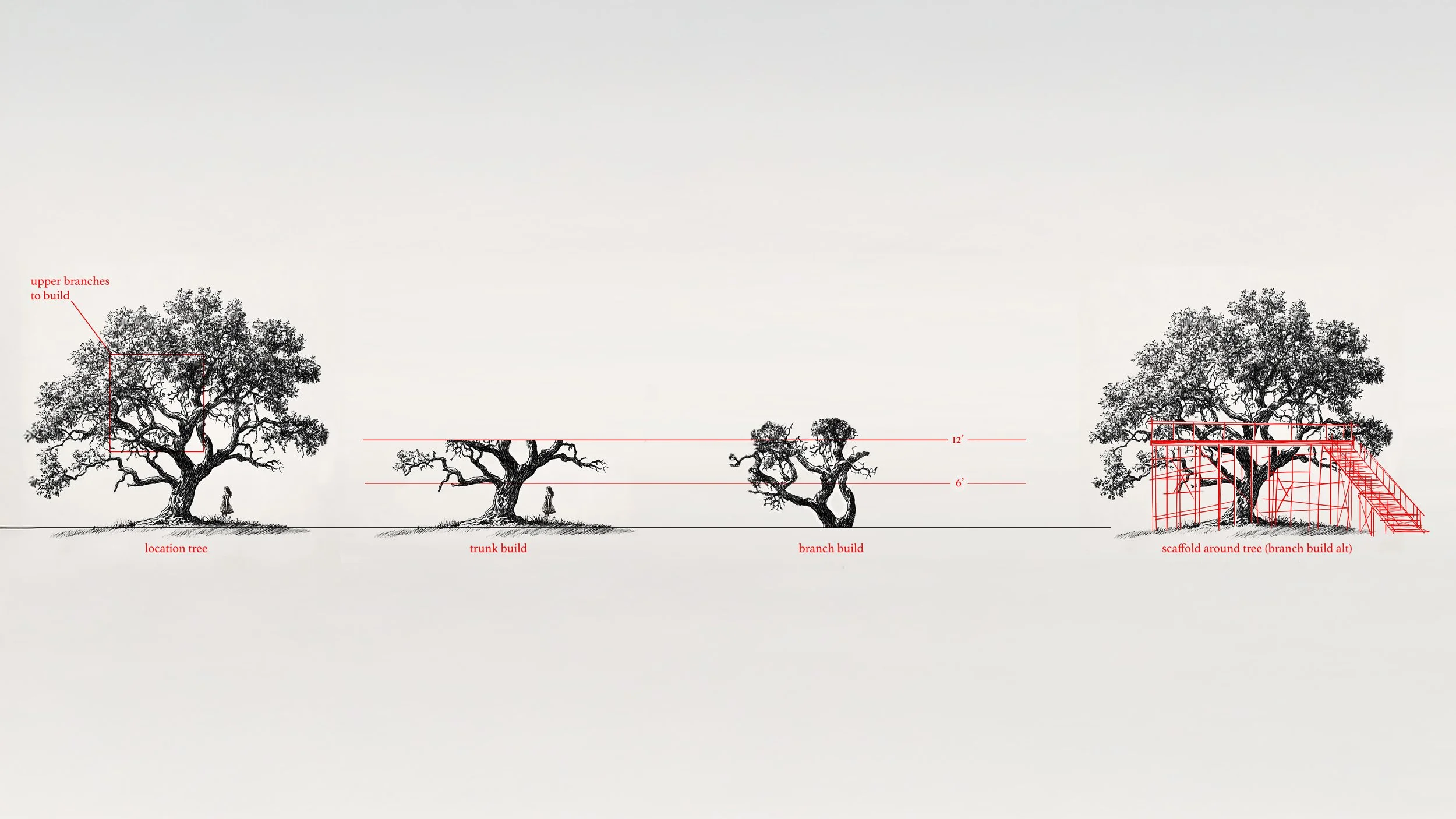 Tree 1.1 copy.jpg