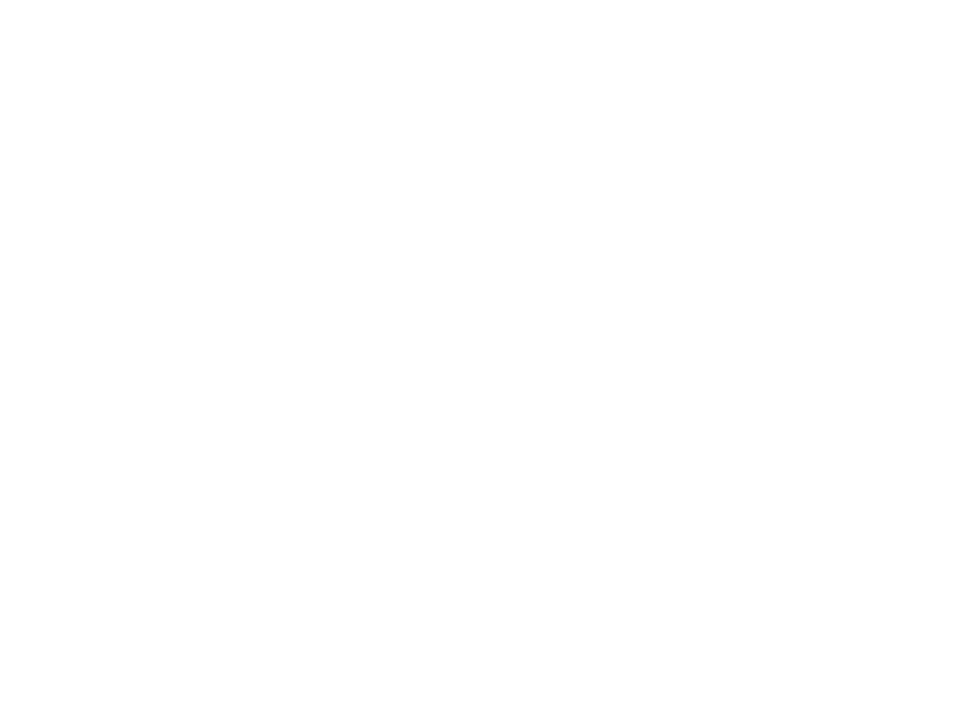 Novel Lattes