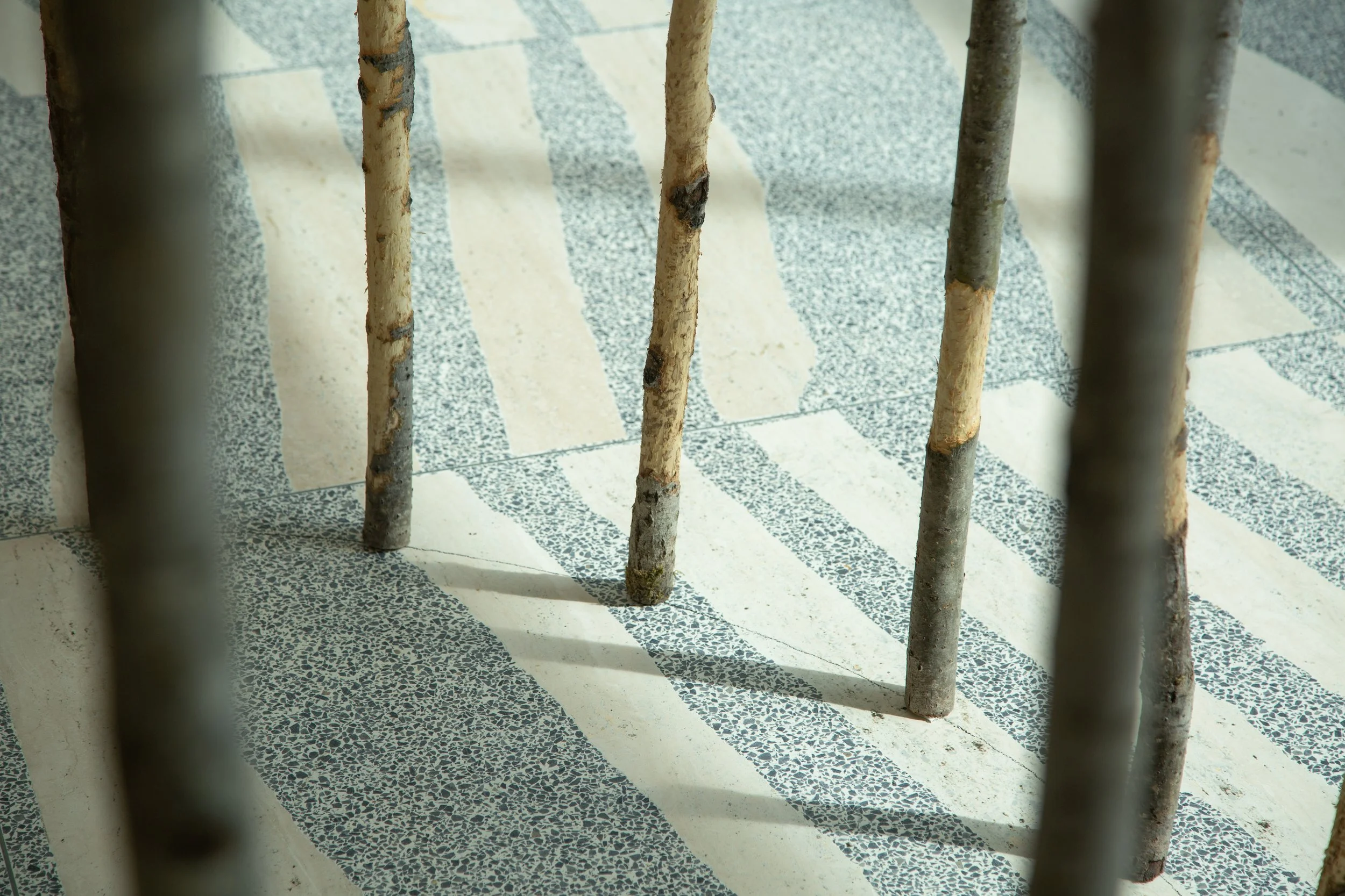 David McGregor_Intimate Certainty_EDMCityHallDetail.jpg