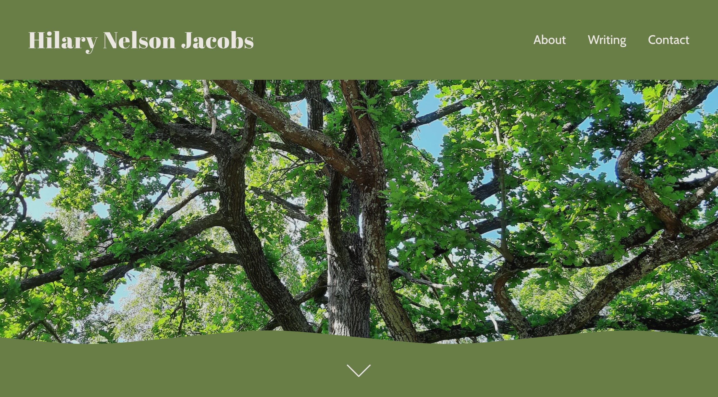 A website header featuring the name 'Hilary Nelson Jacobs' with a navigation menu including 'About,' 'Writing,' and 'Contact,' over a background image of a tree with green leaves and branches against a blue sky.