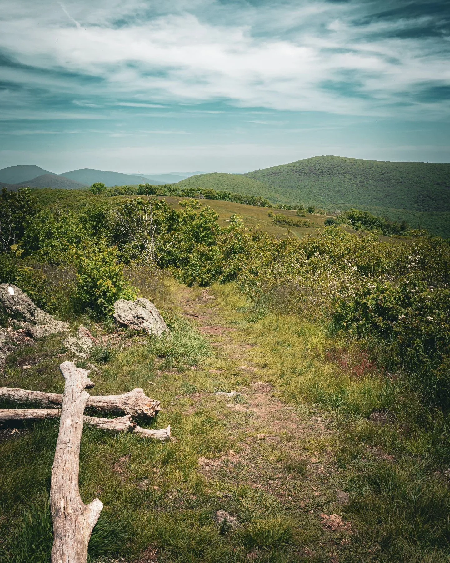 Such a wonderful view on the A T.

#landscapephotography #colemountainva #aplationtrail