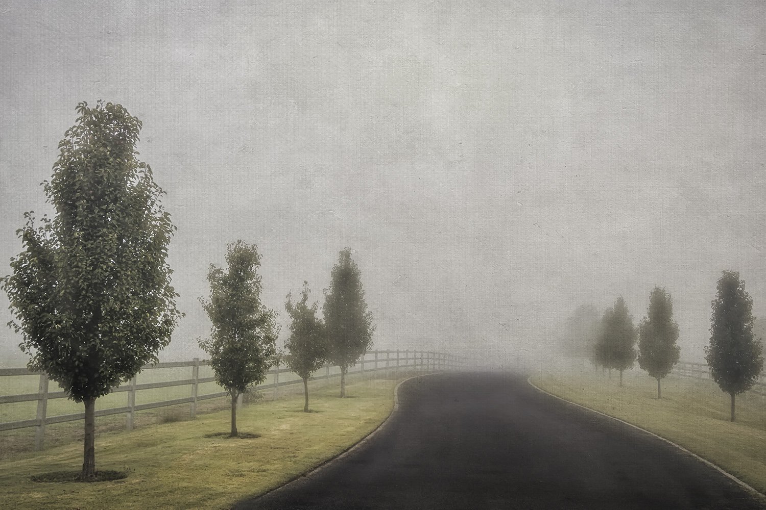 Into the Fog road-Edit.jpg