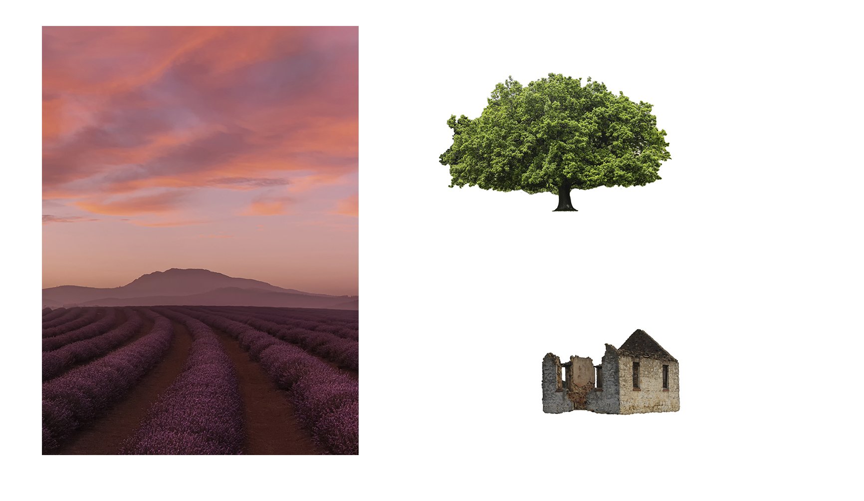 LAvender Tree and House The Elements.jpg